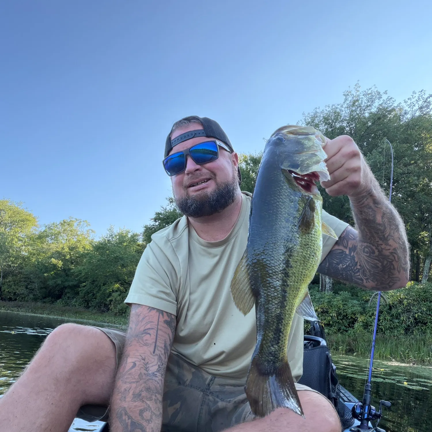 Largemouth bass caught on Fishbrain