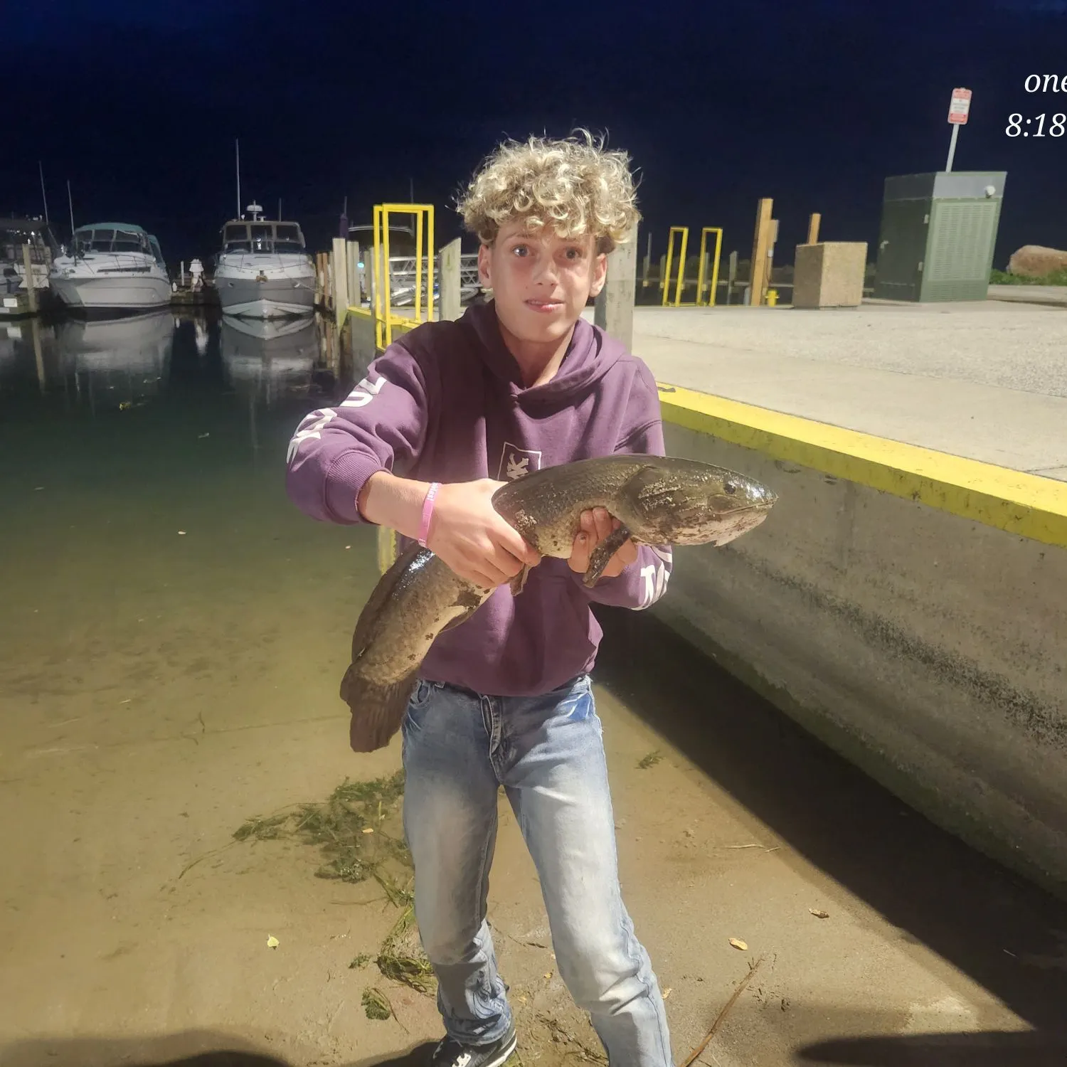 The most recent Eyetail bowfin catches on Fishbrain