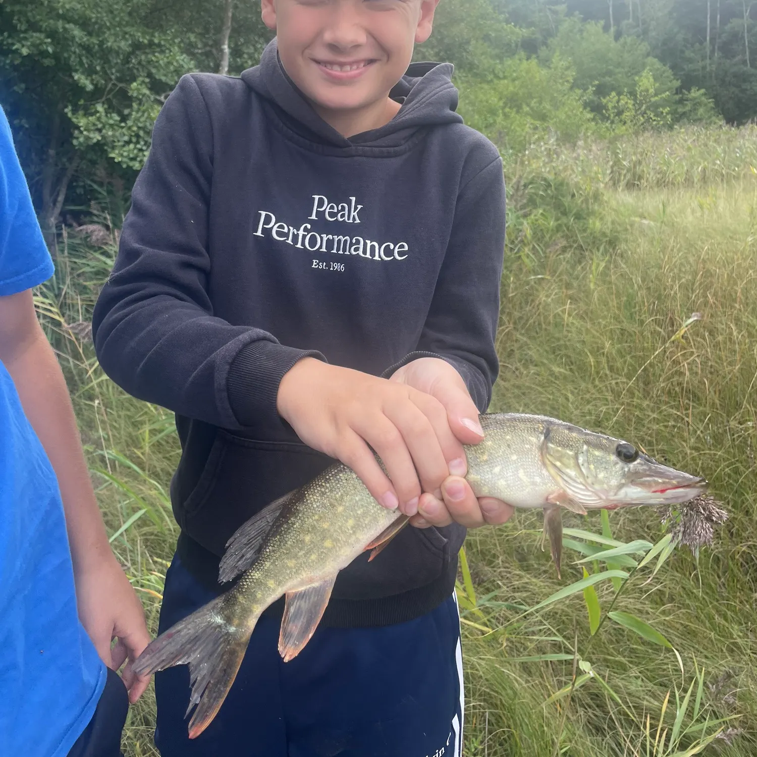 Northern pike caught on Fishbrain