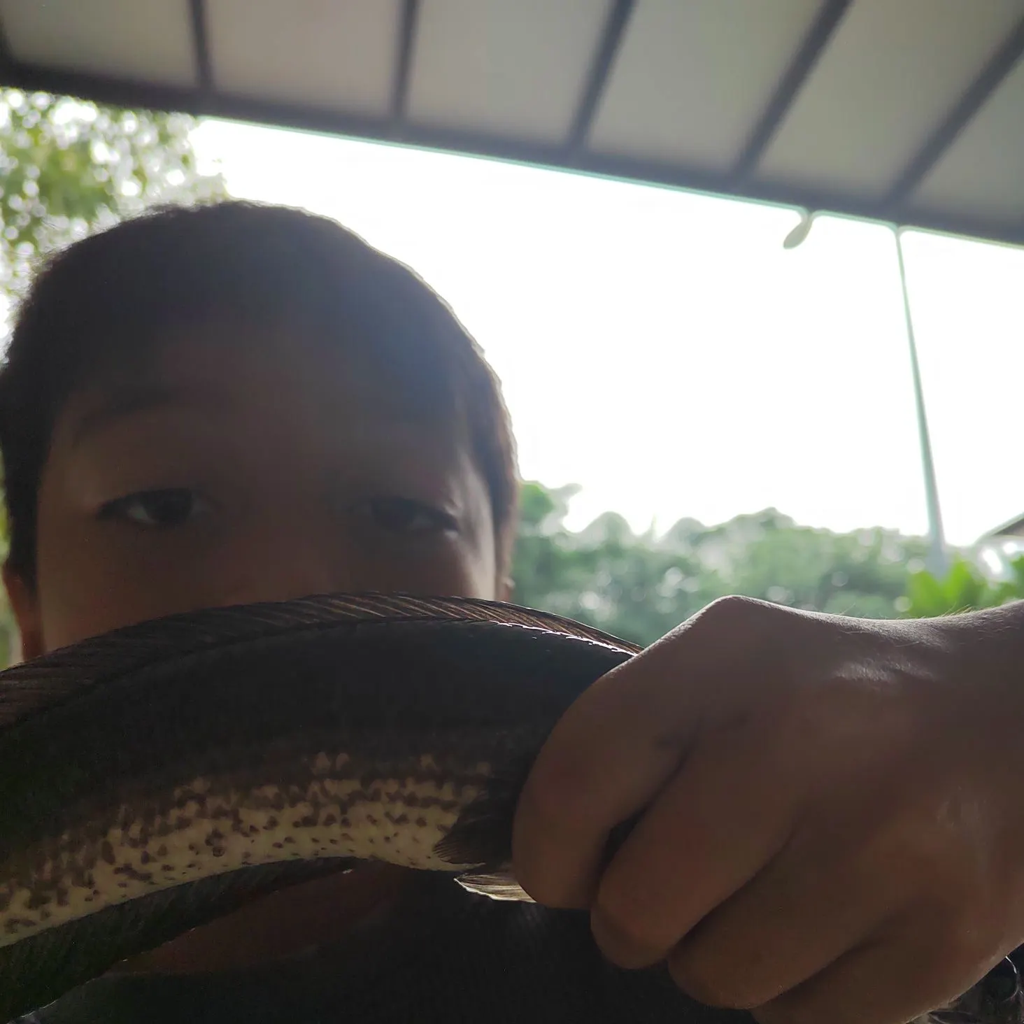 Fish caught on Fishbrain