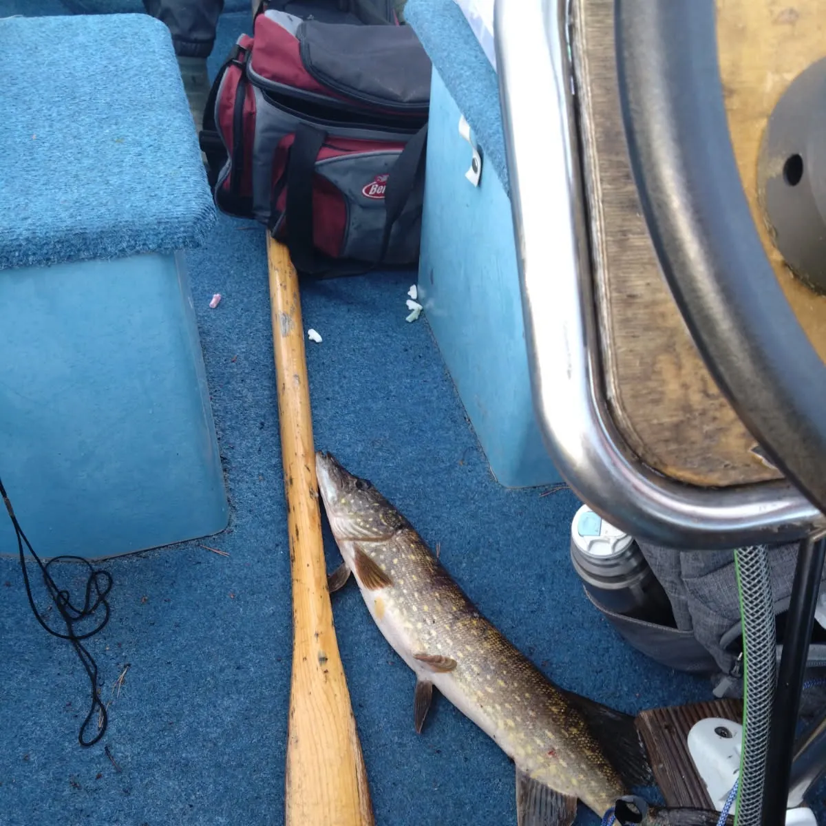 Northern pike caught on Fishbrain