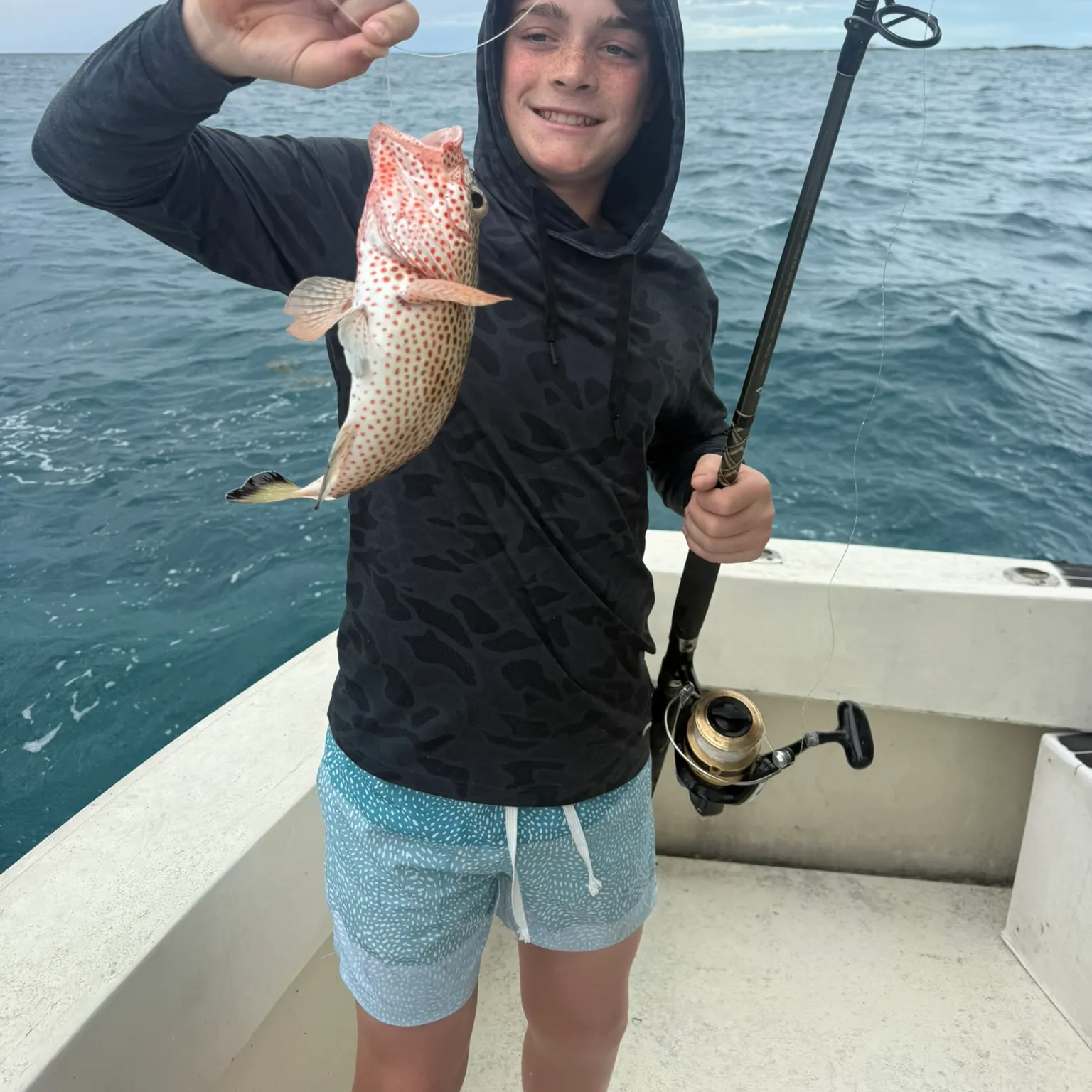 The most recent Spotted coralgrouper catches on Fishbrain