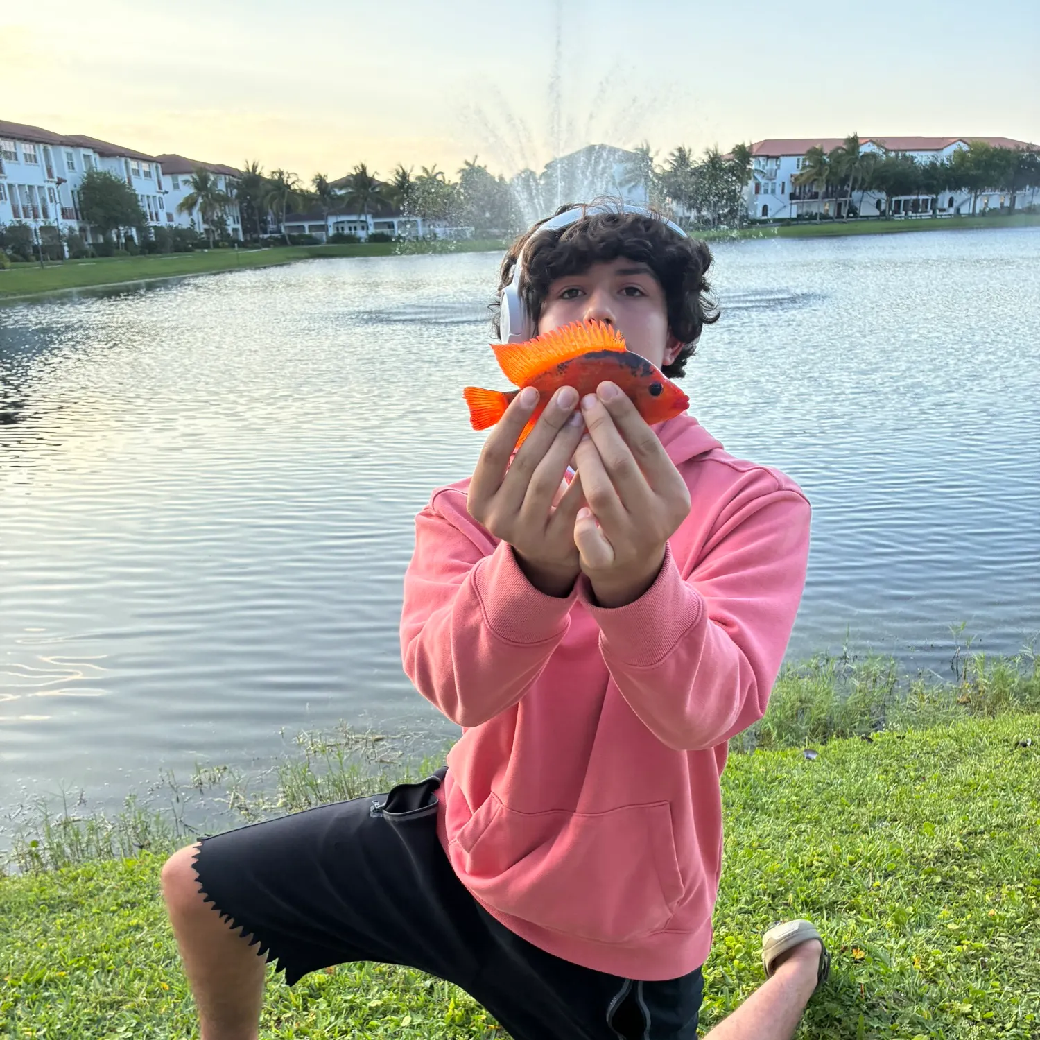 The most recent Midas cichlid catches on Fishbrain