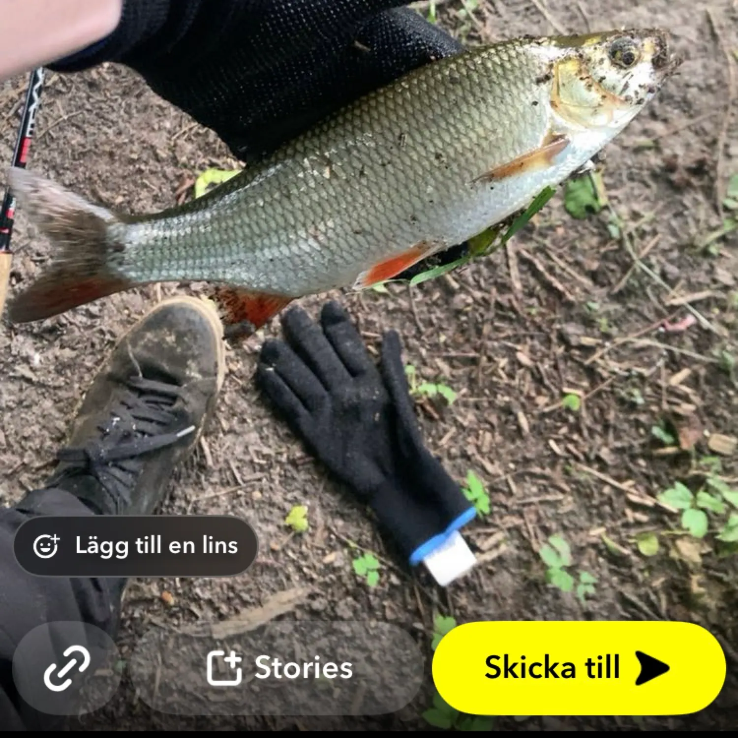 most liked catch image