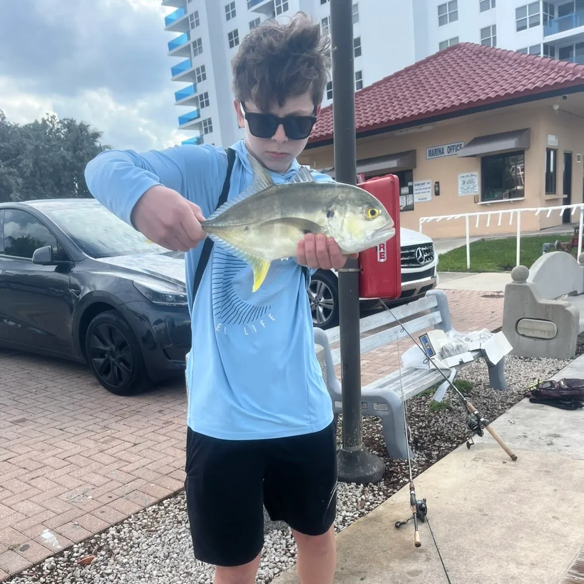 The most recent Crevalle jack catches on Fishbrain