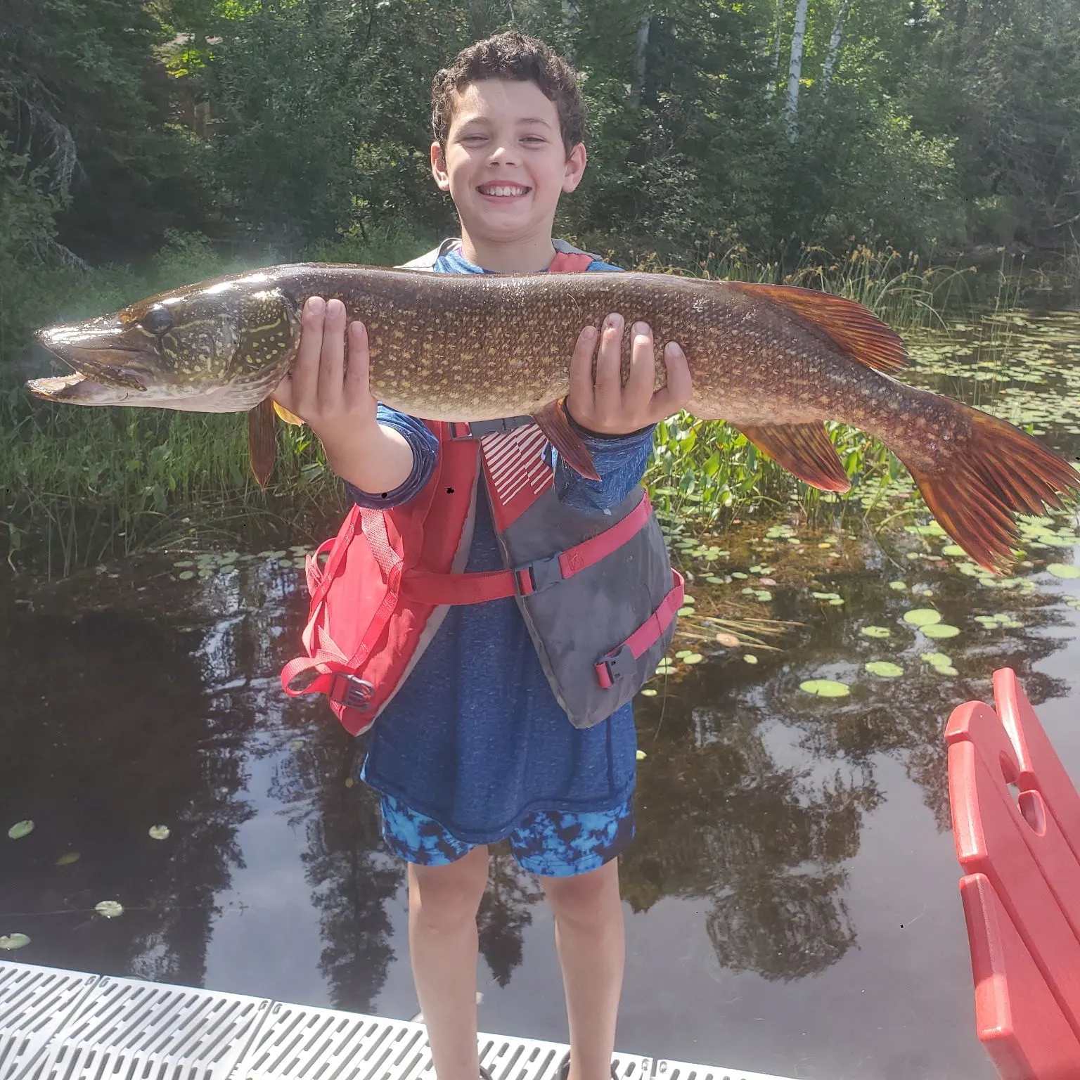 Northern pike caught on Fishbrain
