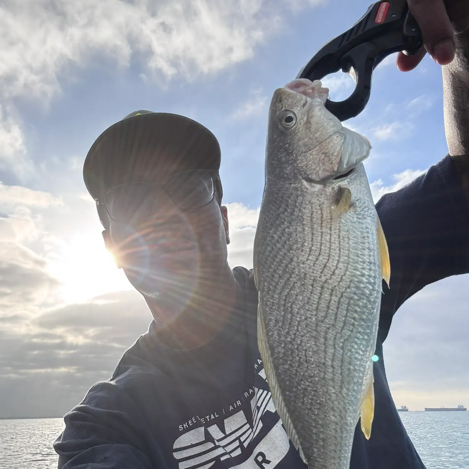Yellowfin croaker caught on Fishbrain