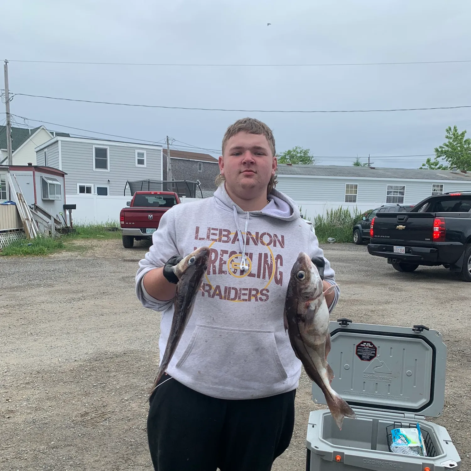 The most recent Haddock catches on Fishbrain