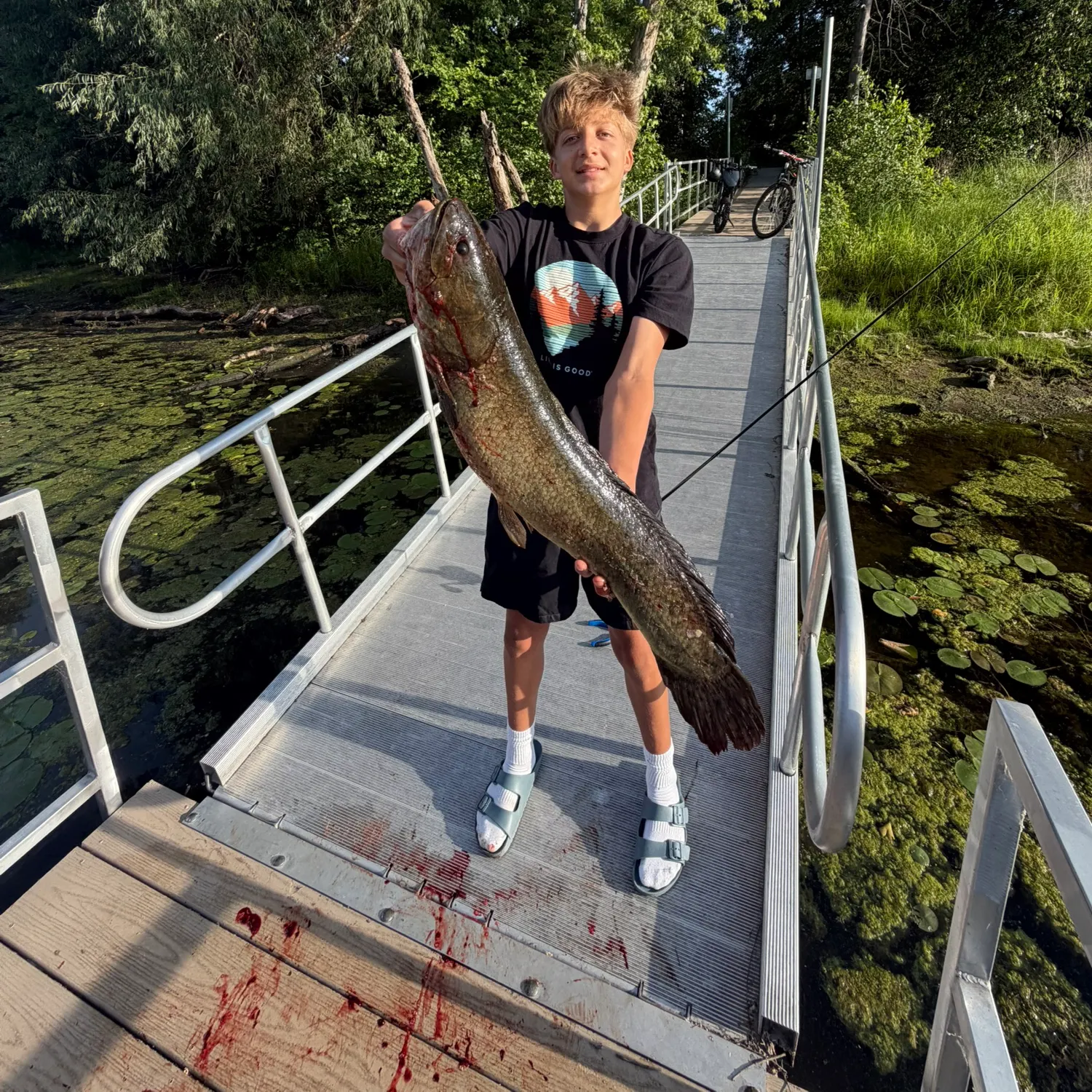 catch
