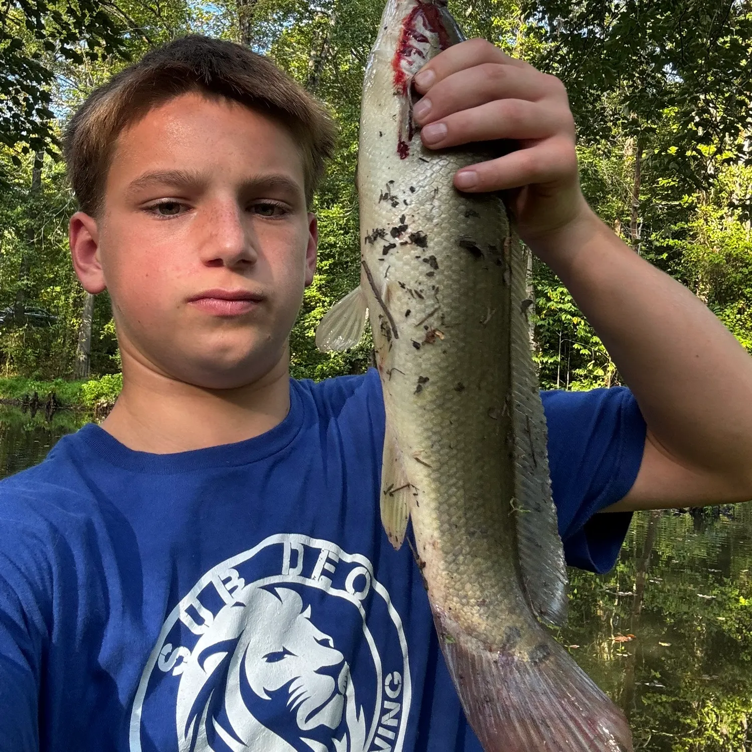 Ruddy bowfin caught on Fishbrain