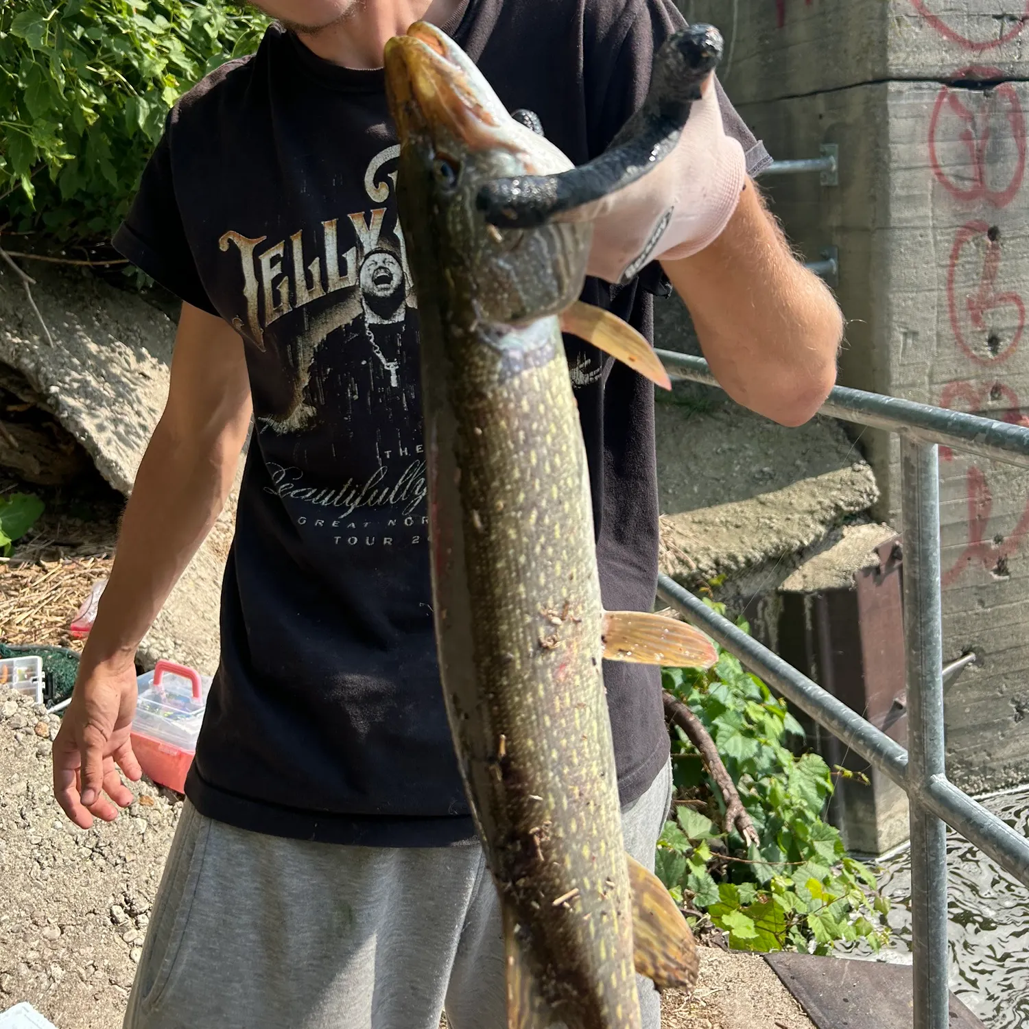 catch