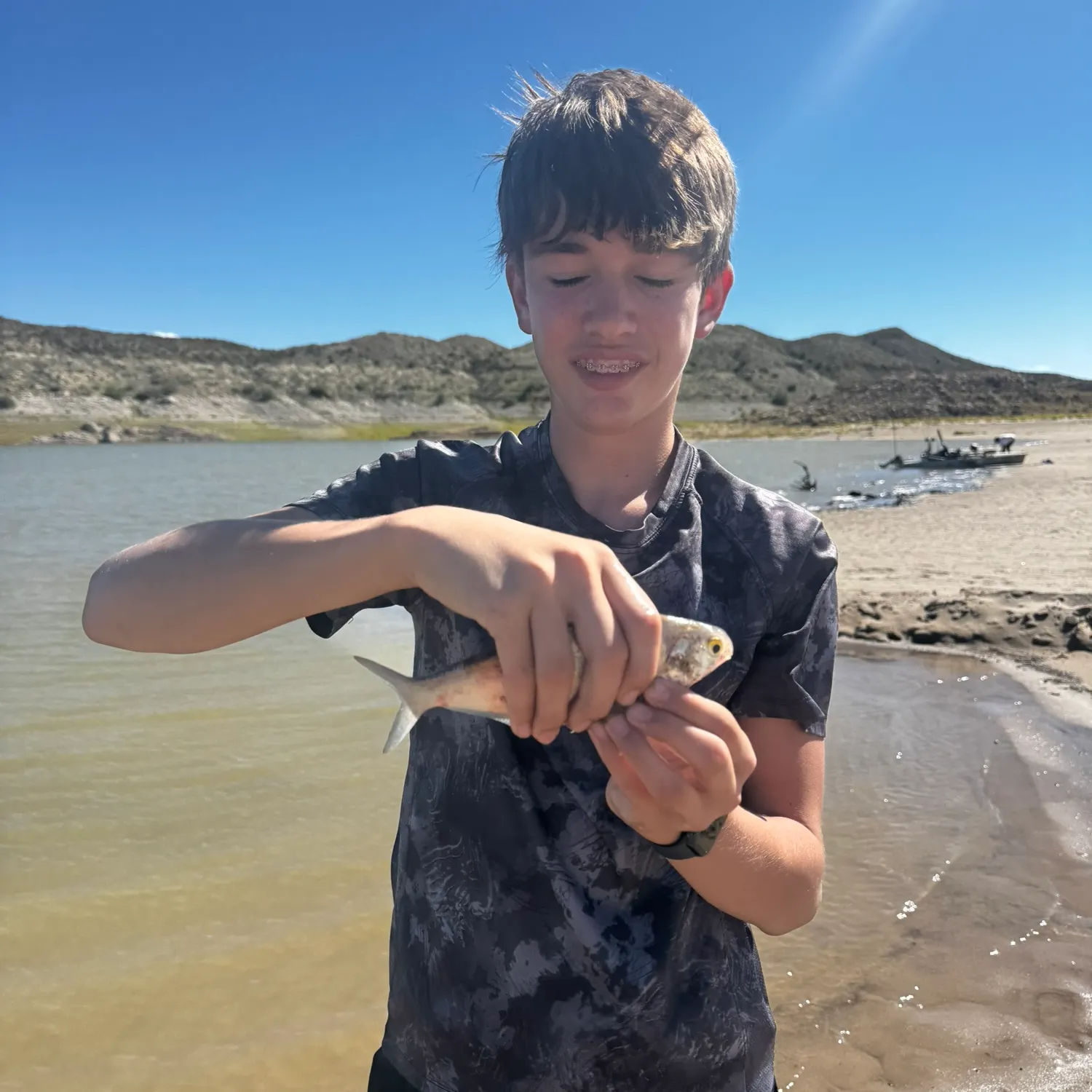 The most recent American gizzard shad catches on Fishbrain