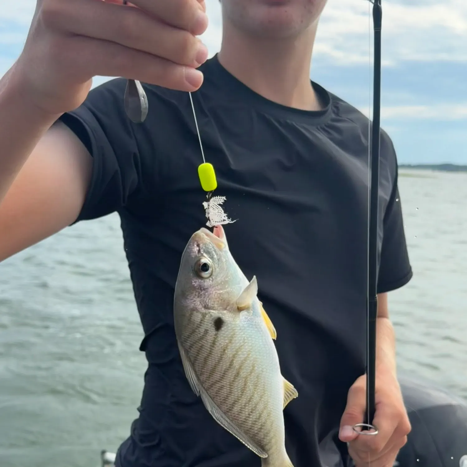 Spot croaker caught on Fishbrain