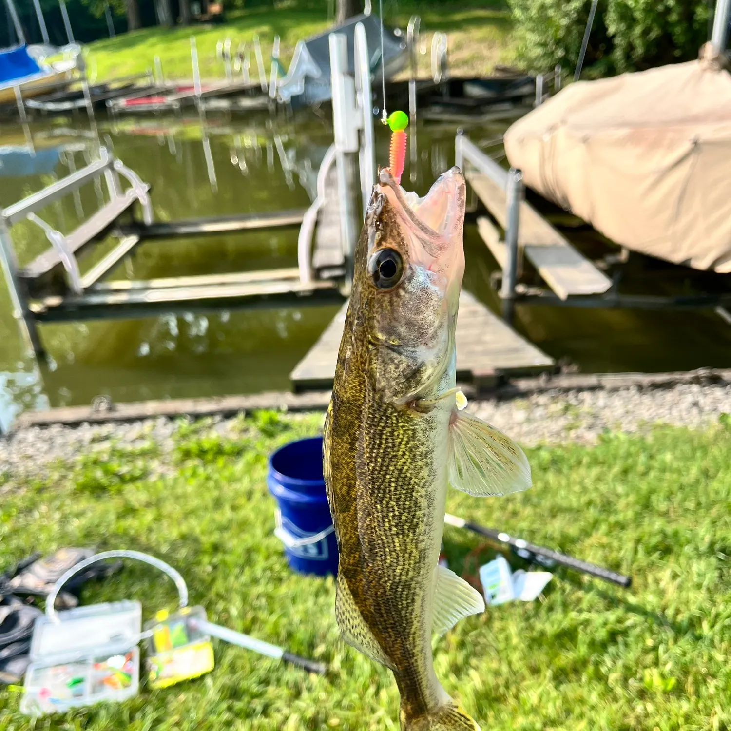 most liked catch image