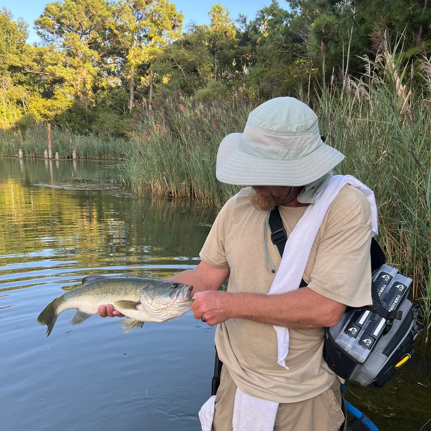Largemouth bass caught on Fishbrain