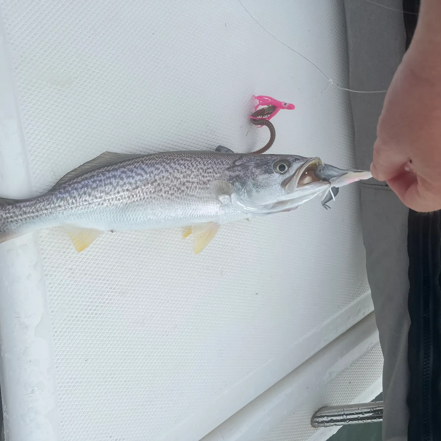 most liked catch image