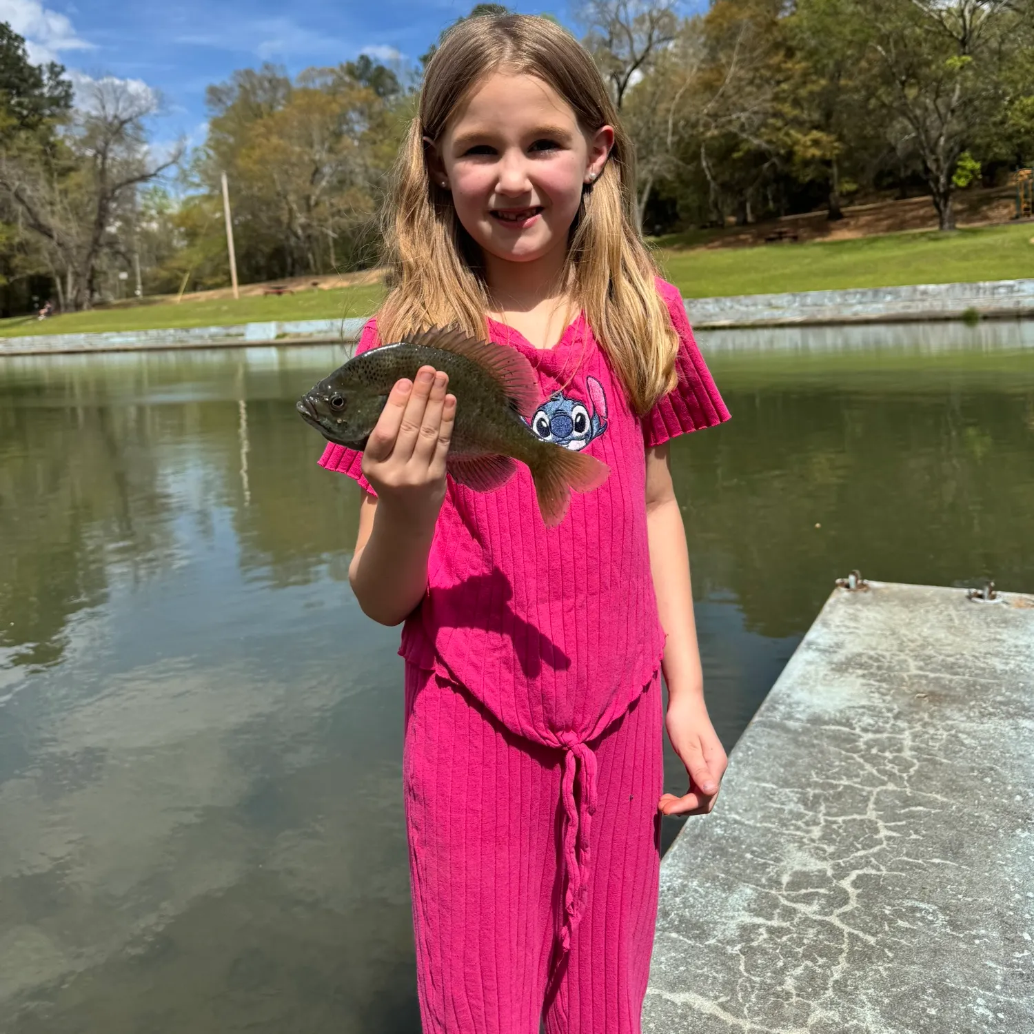 The most recent Spotted sunfish catches on Fishbrain
