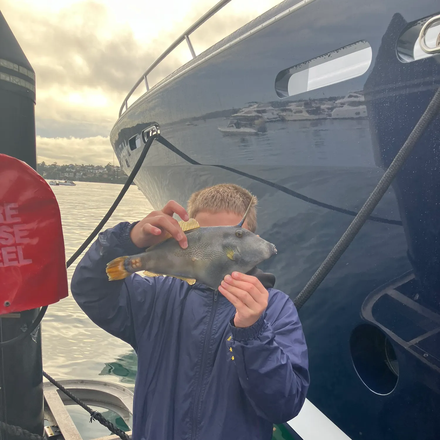 The most recent Yellowfin leatherjacket catches on Fishbrain
