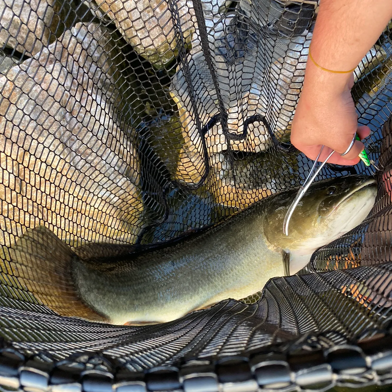 catch