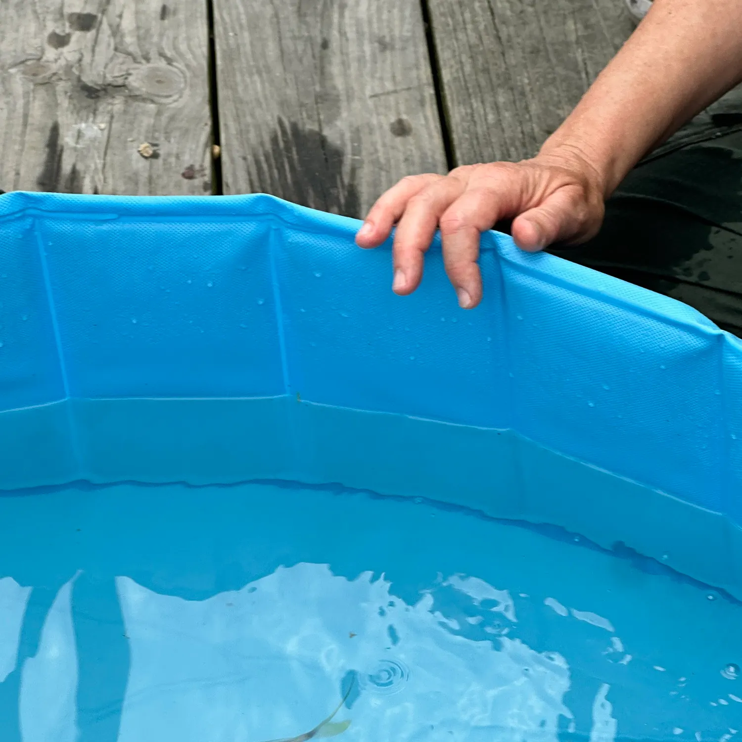 The most recent Atlantic bumper catches on Fishbrain