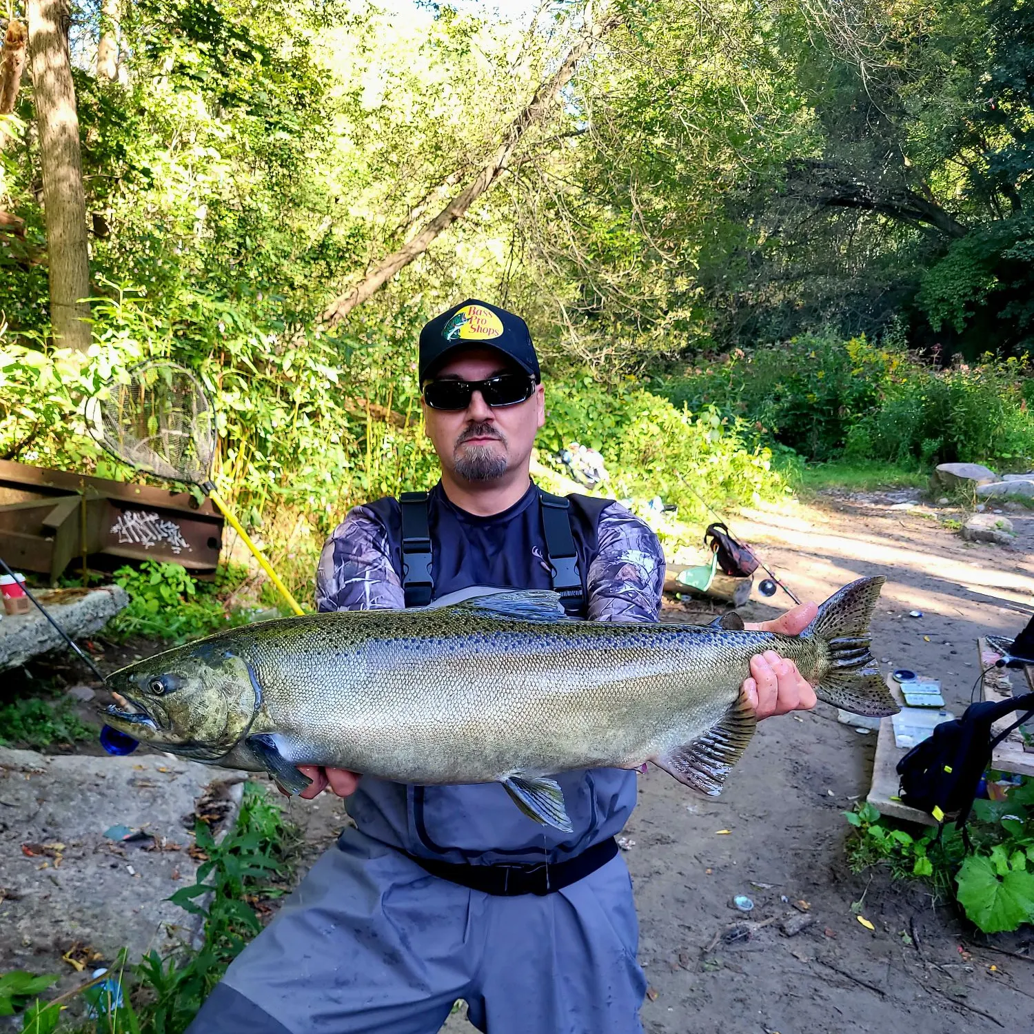 Chinook salmon caught on Fishbrain