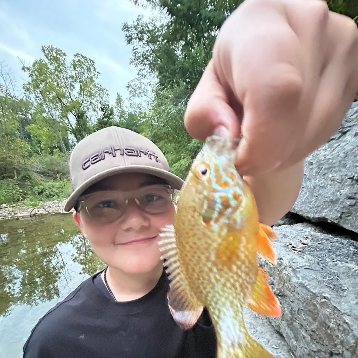 Pumpkinseed caught on Fishbrain