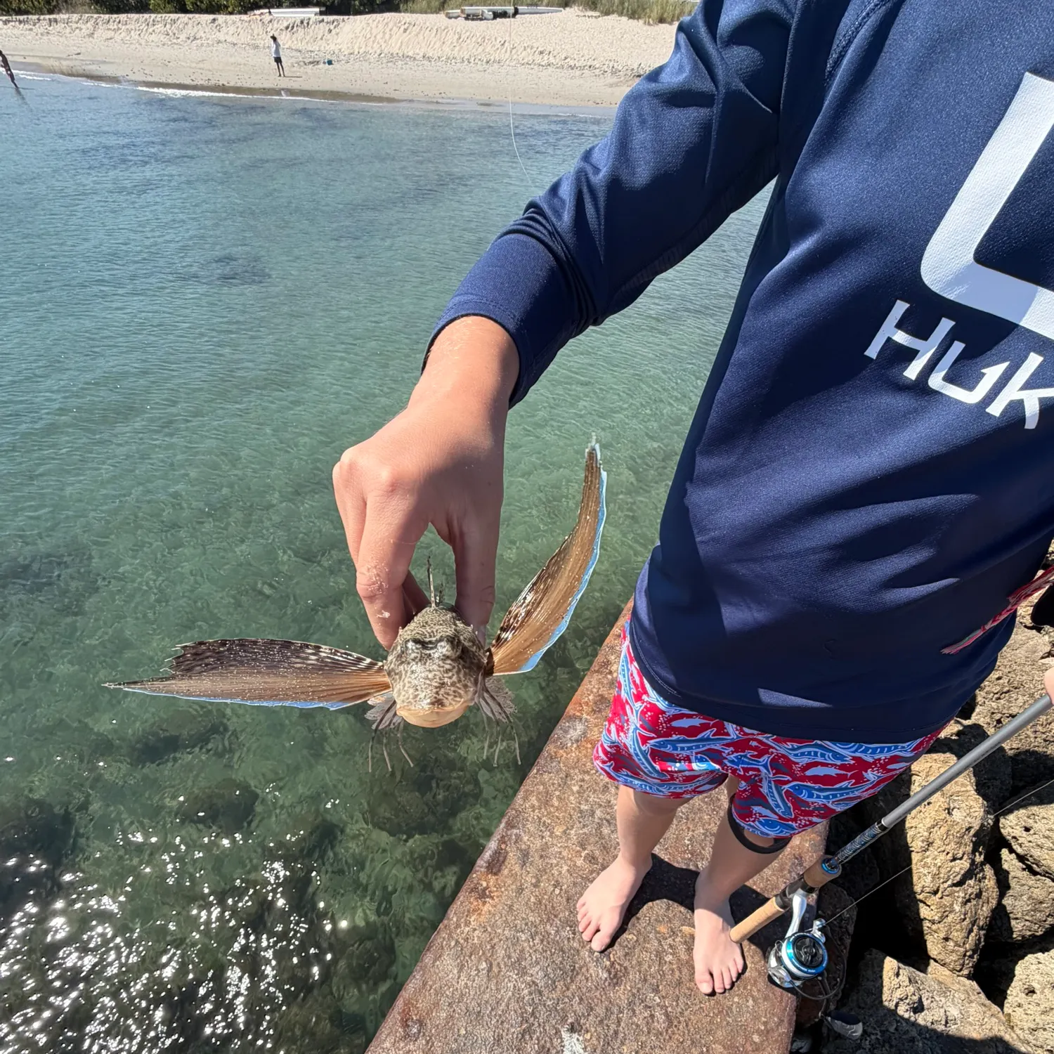 The most recent Blackwing searobin catches on Fishbrain