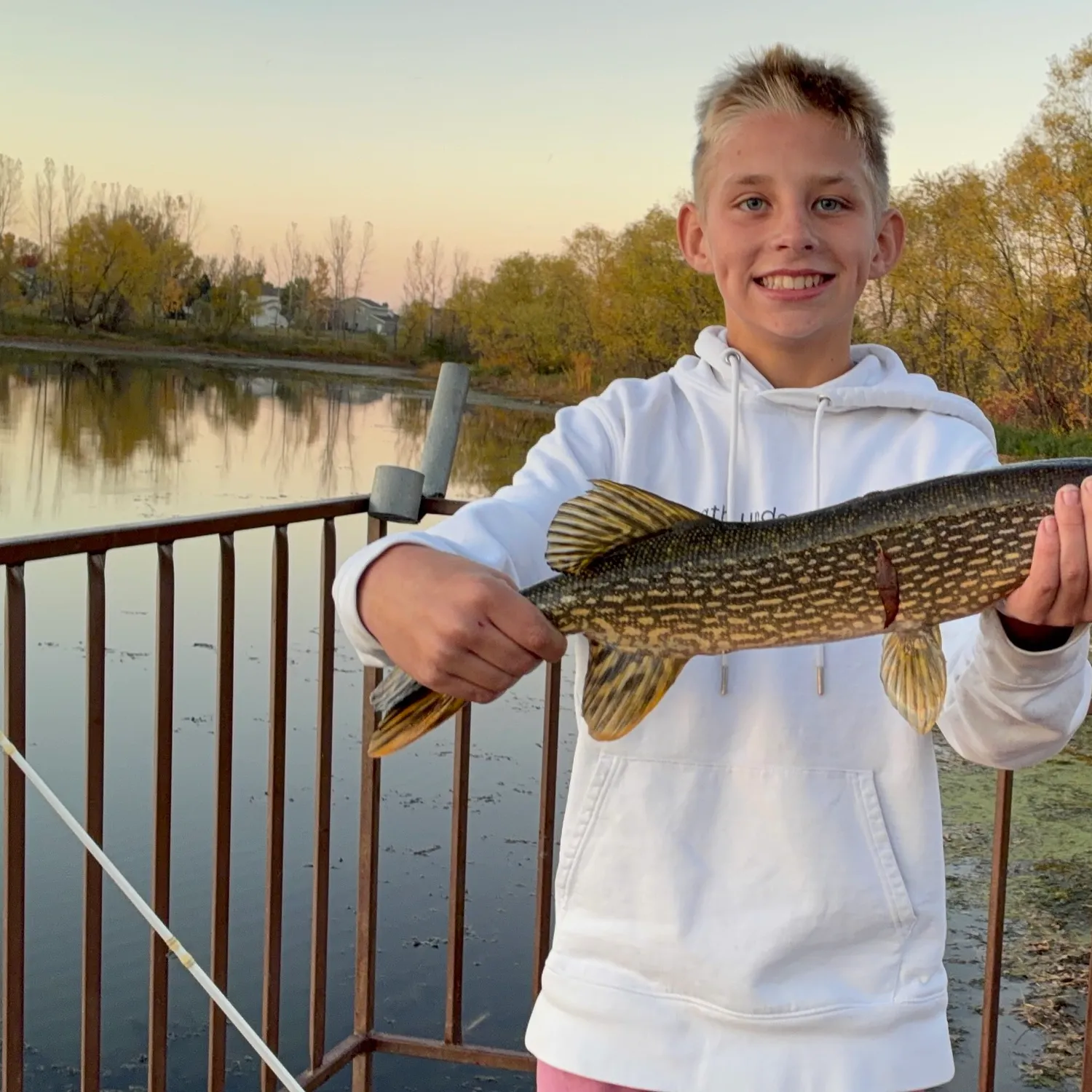 Northern pike caught on Fishbrain