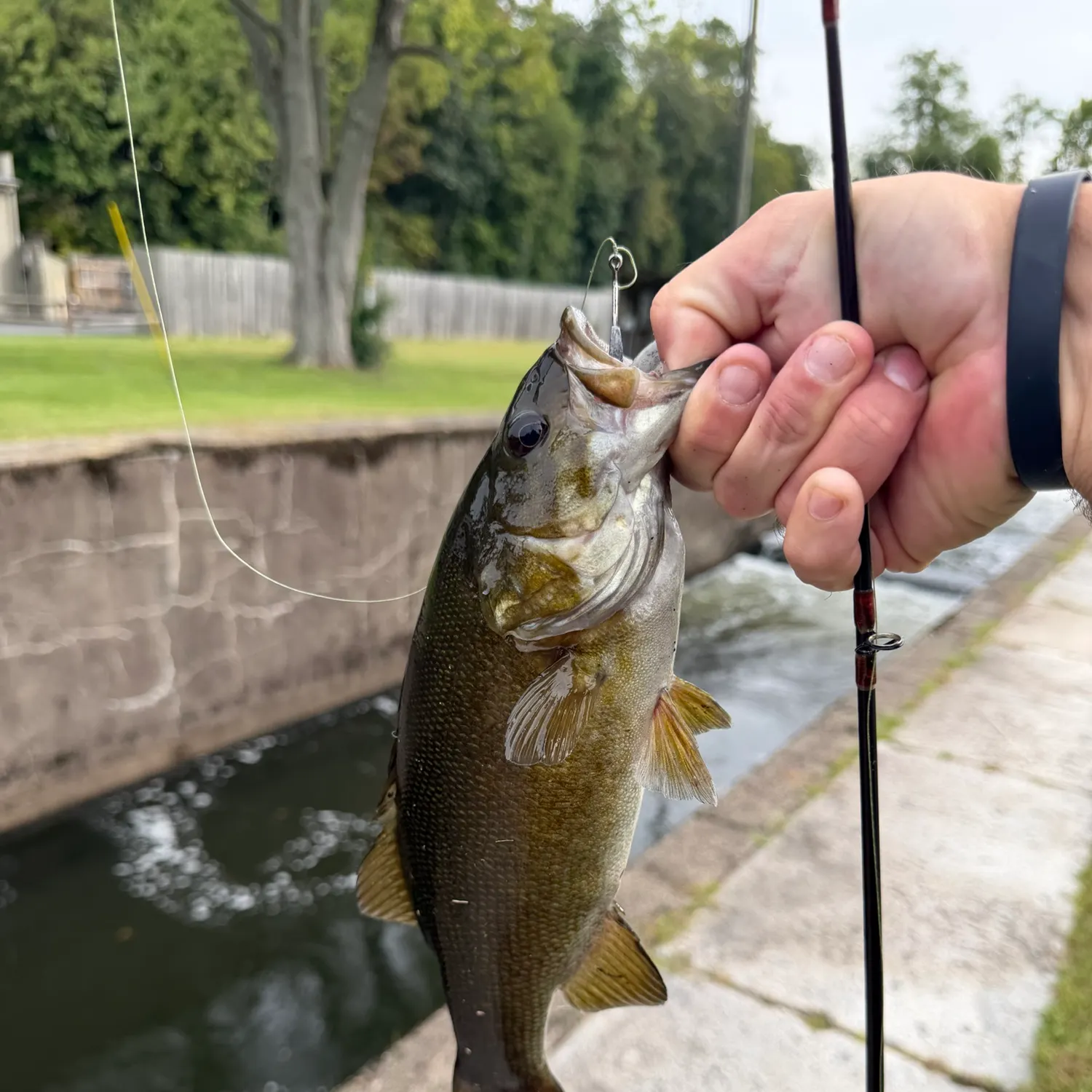 catch