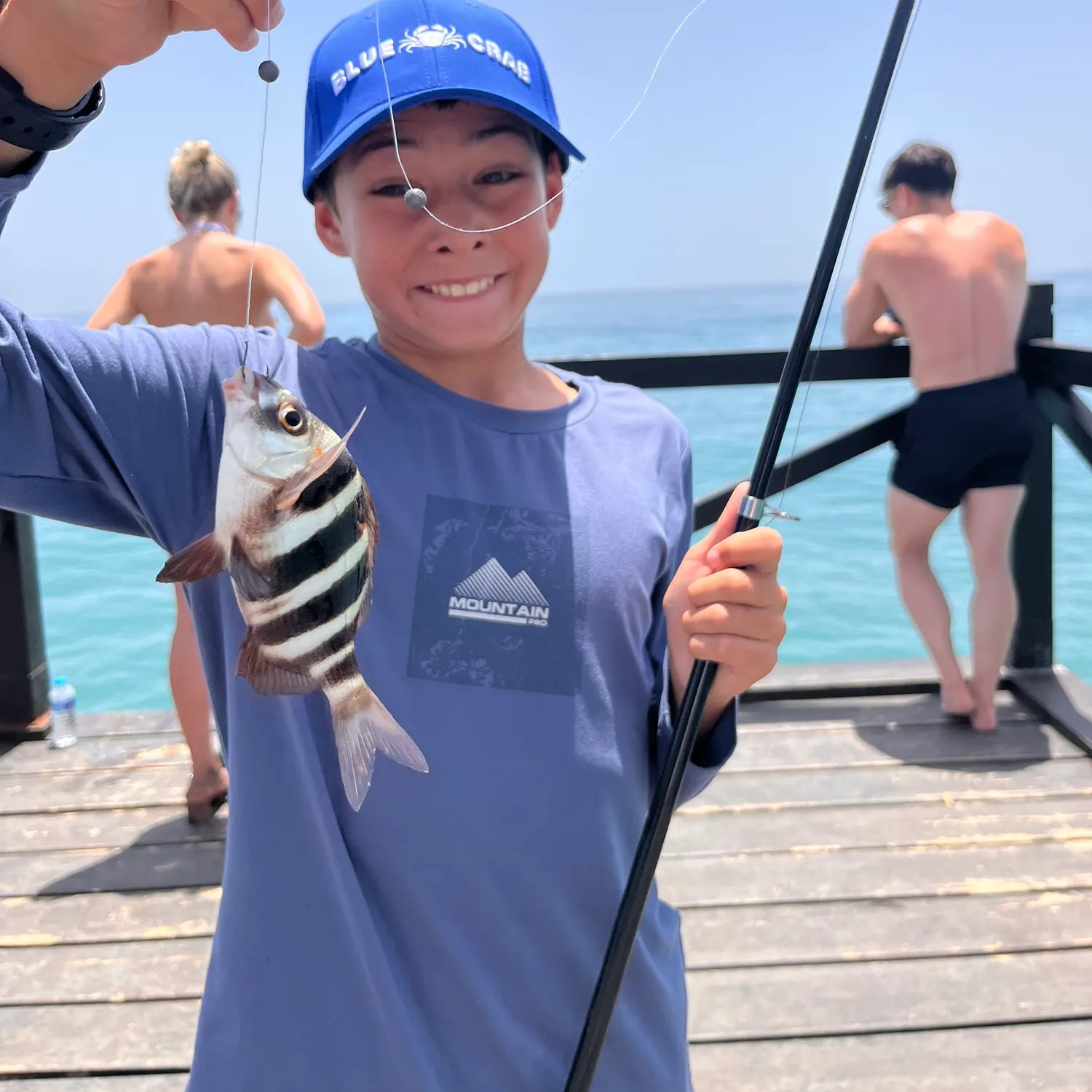 The most recent Zebra seabream catches on Fishbrain