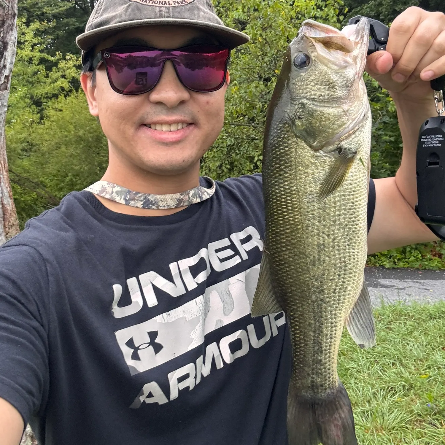Largemouth bass caught on Fishbrain