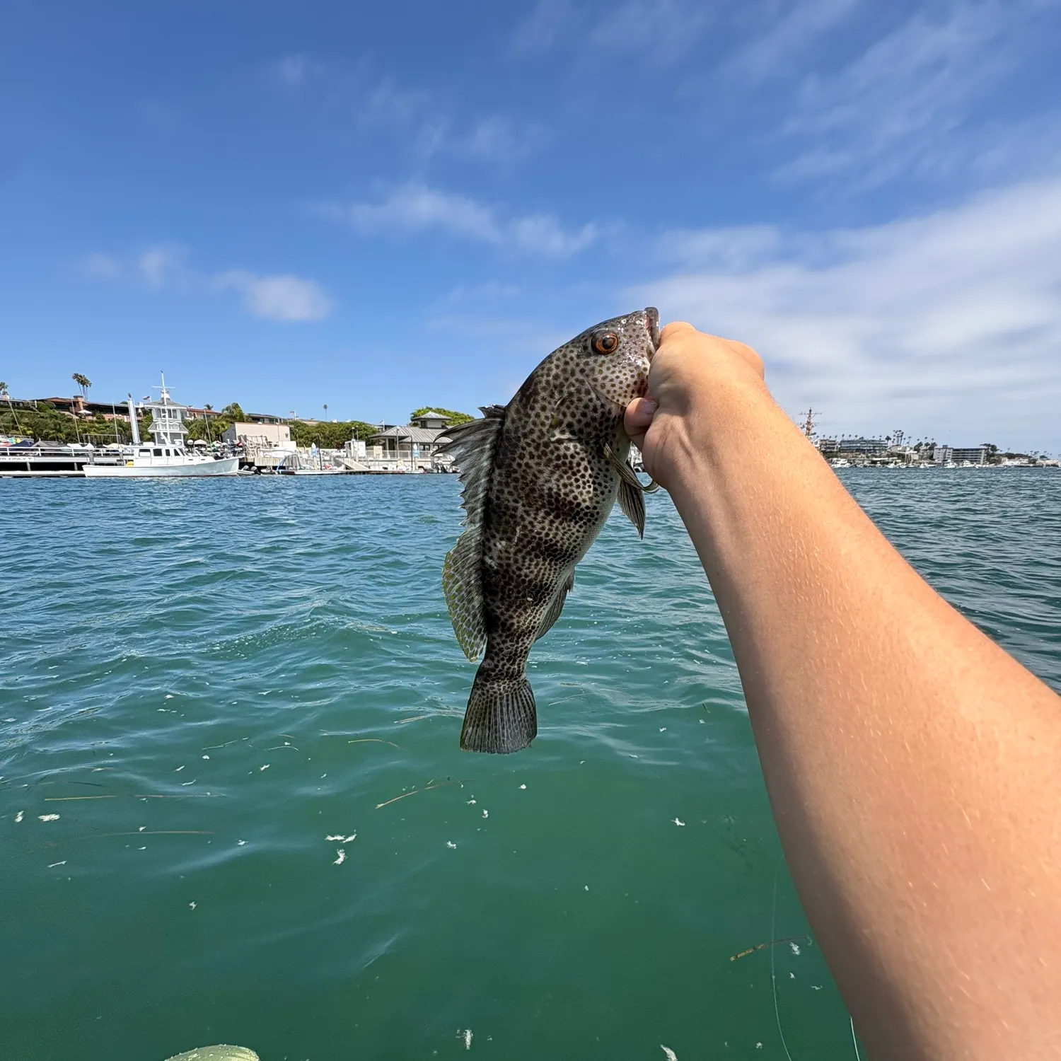 catch