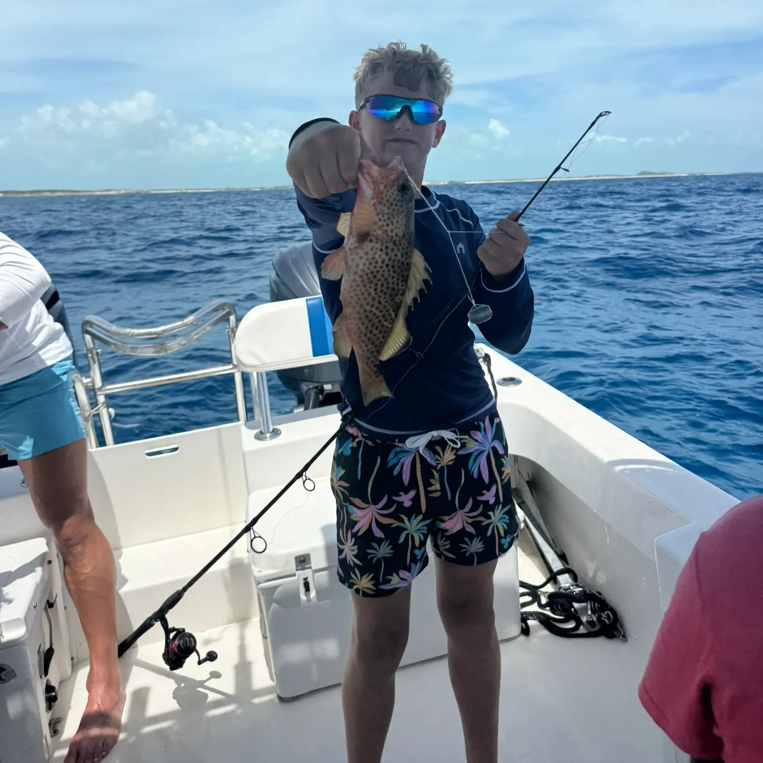 The most recent Strawberry hind catches on Fishbrain