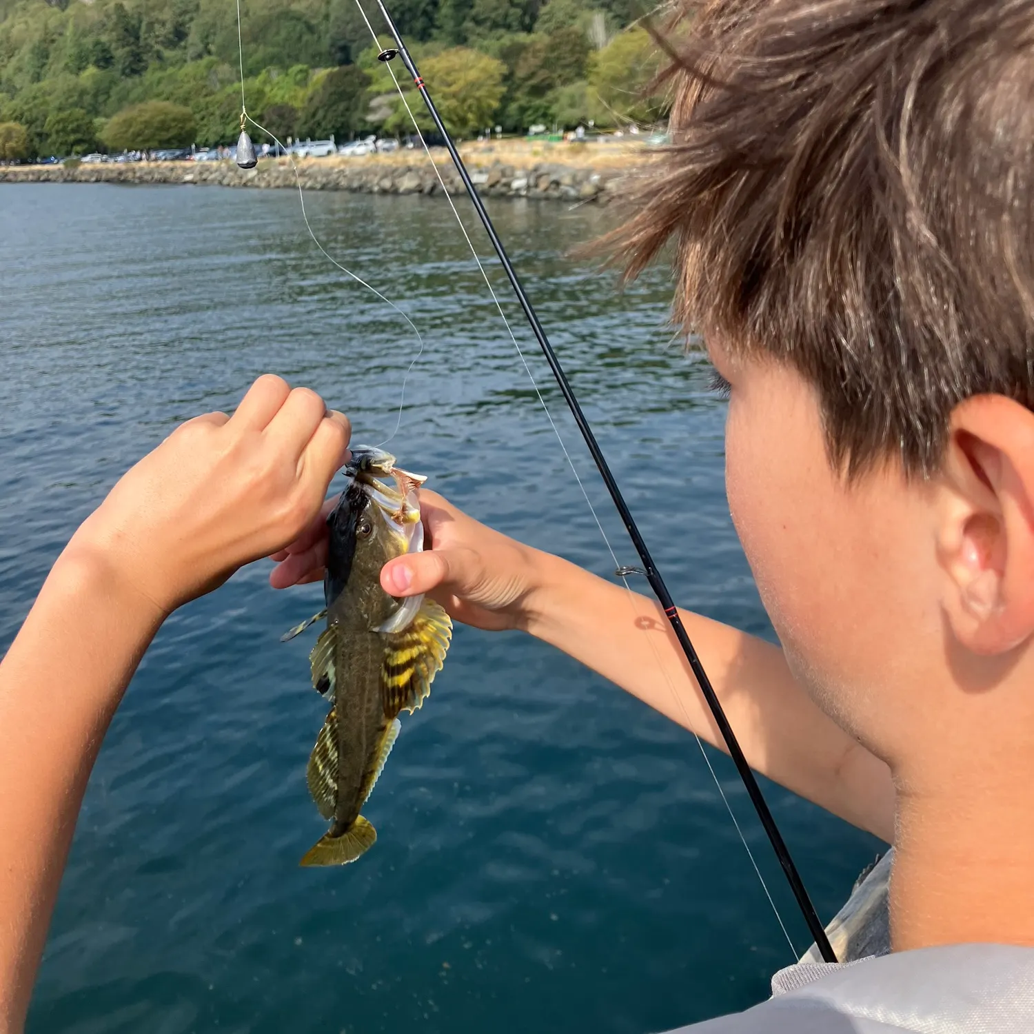 most liked catch image