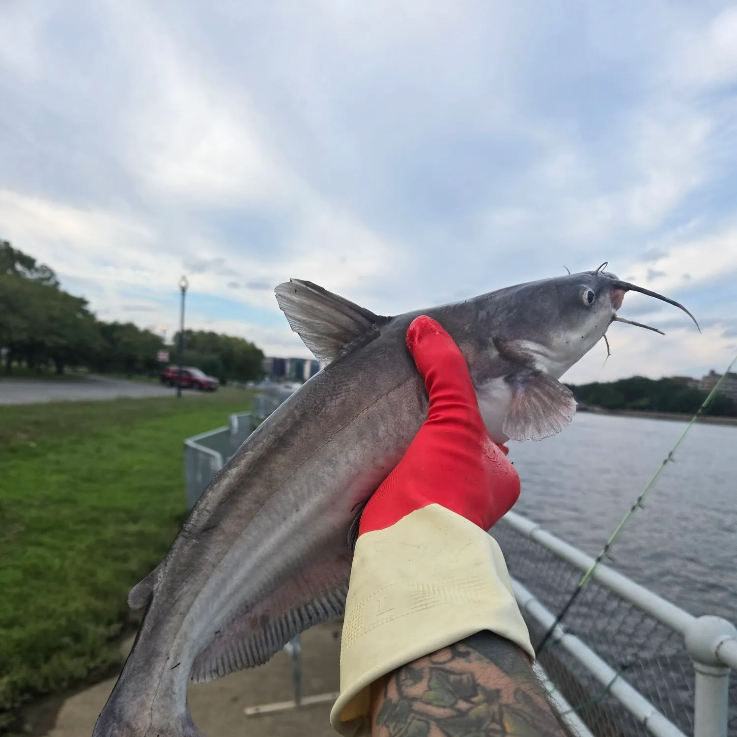 catch