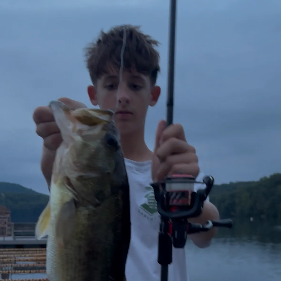 Largemouth bass caught on Fishbrain
