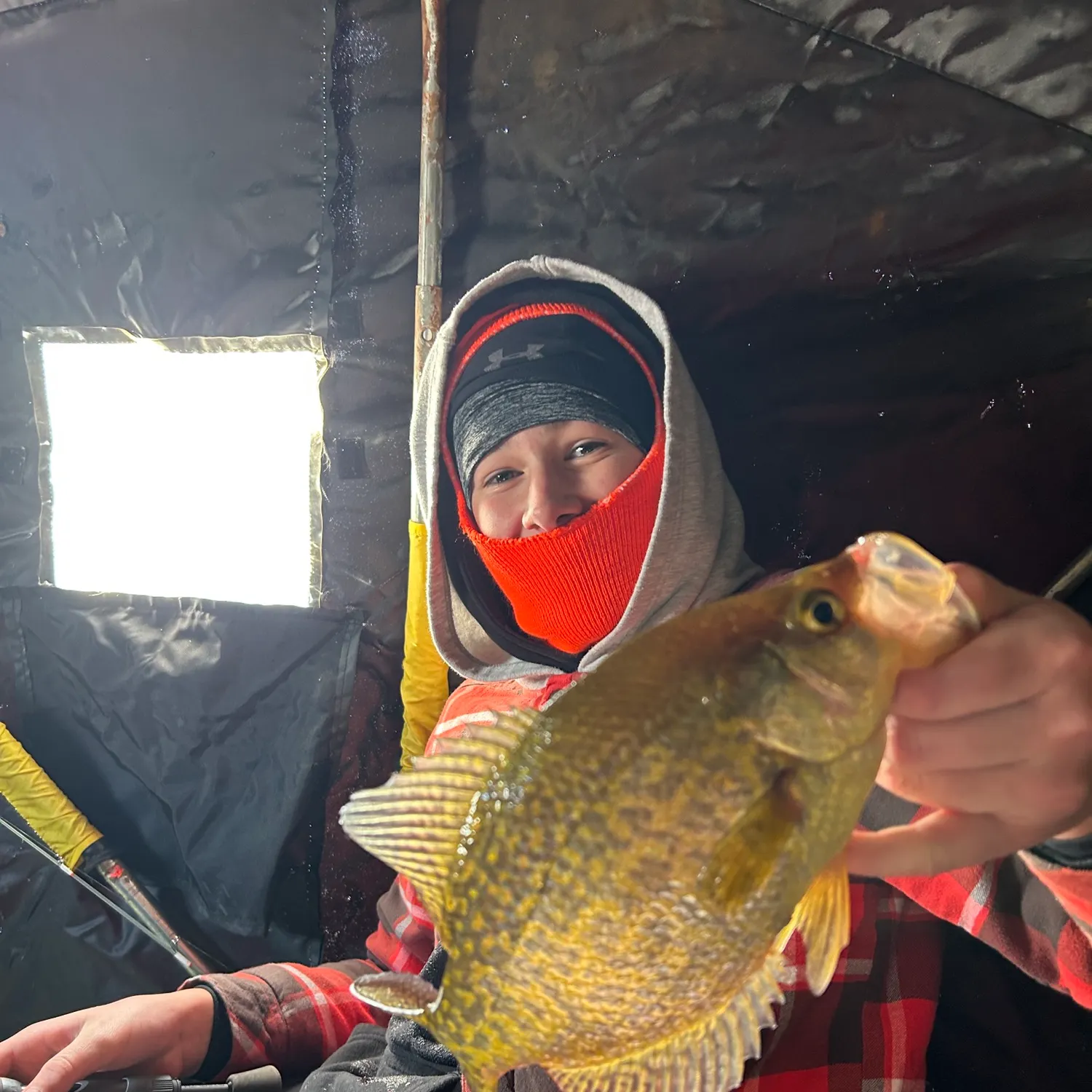 The most recent Black crappie catches on Fishbrain