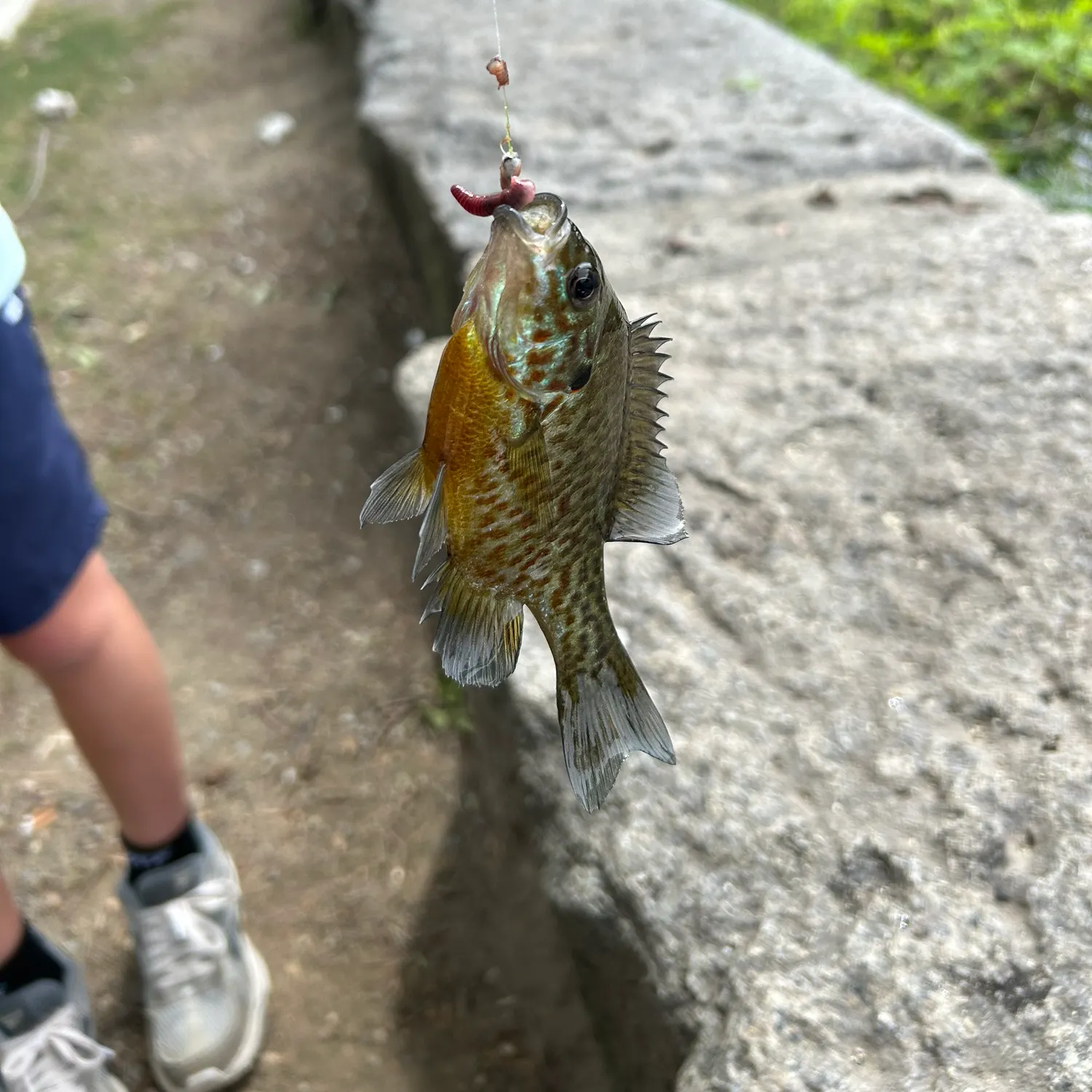 catch