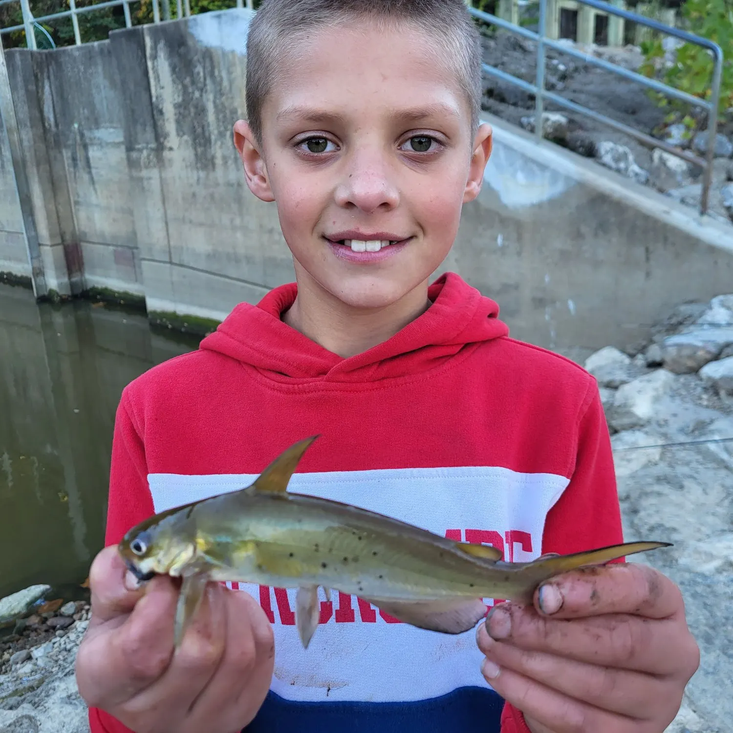 Channel catfish caught on Fishbrain