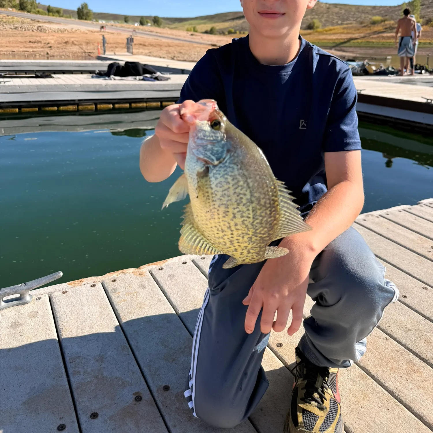 Black crappie caught on Fishbrain