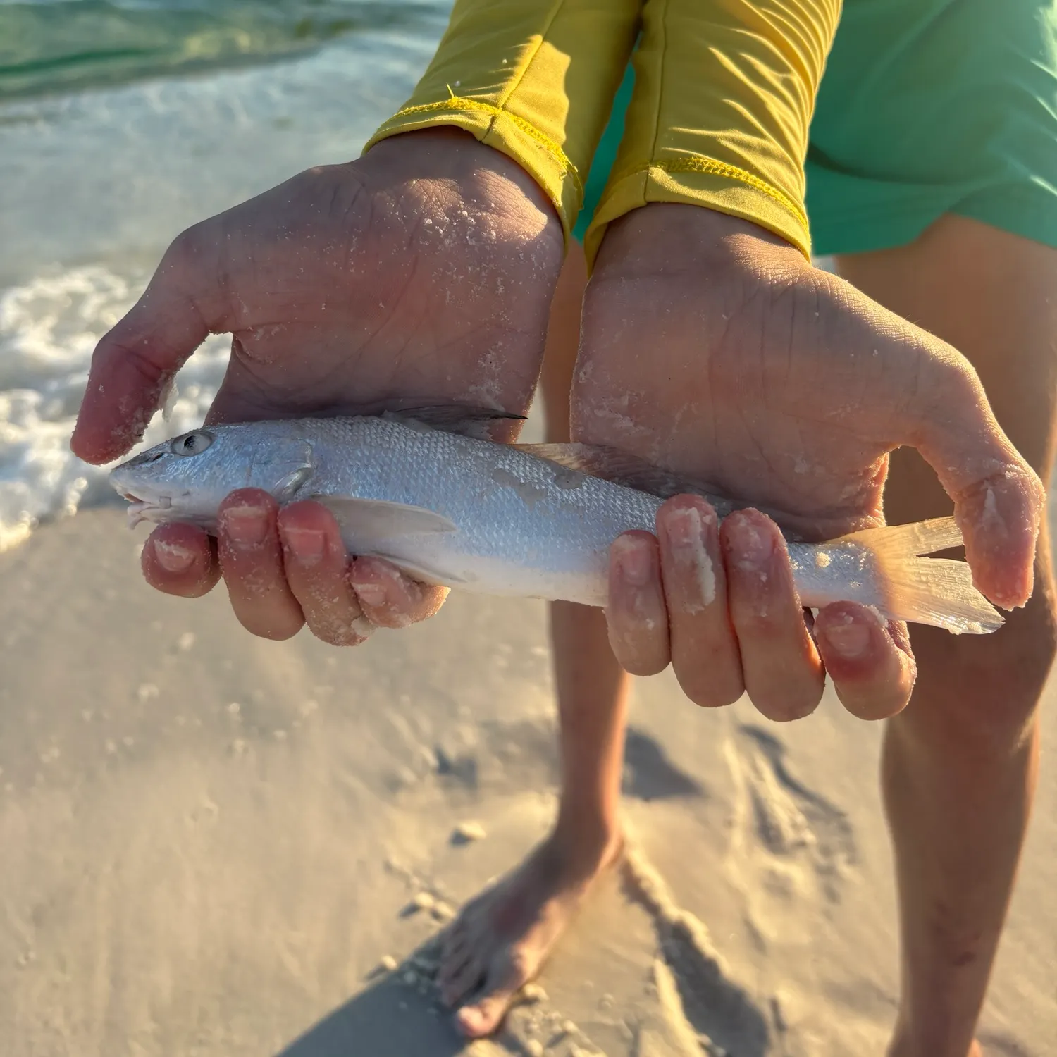 Gulf kingcroaker caught on Fishbrain