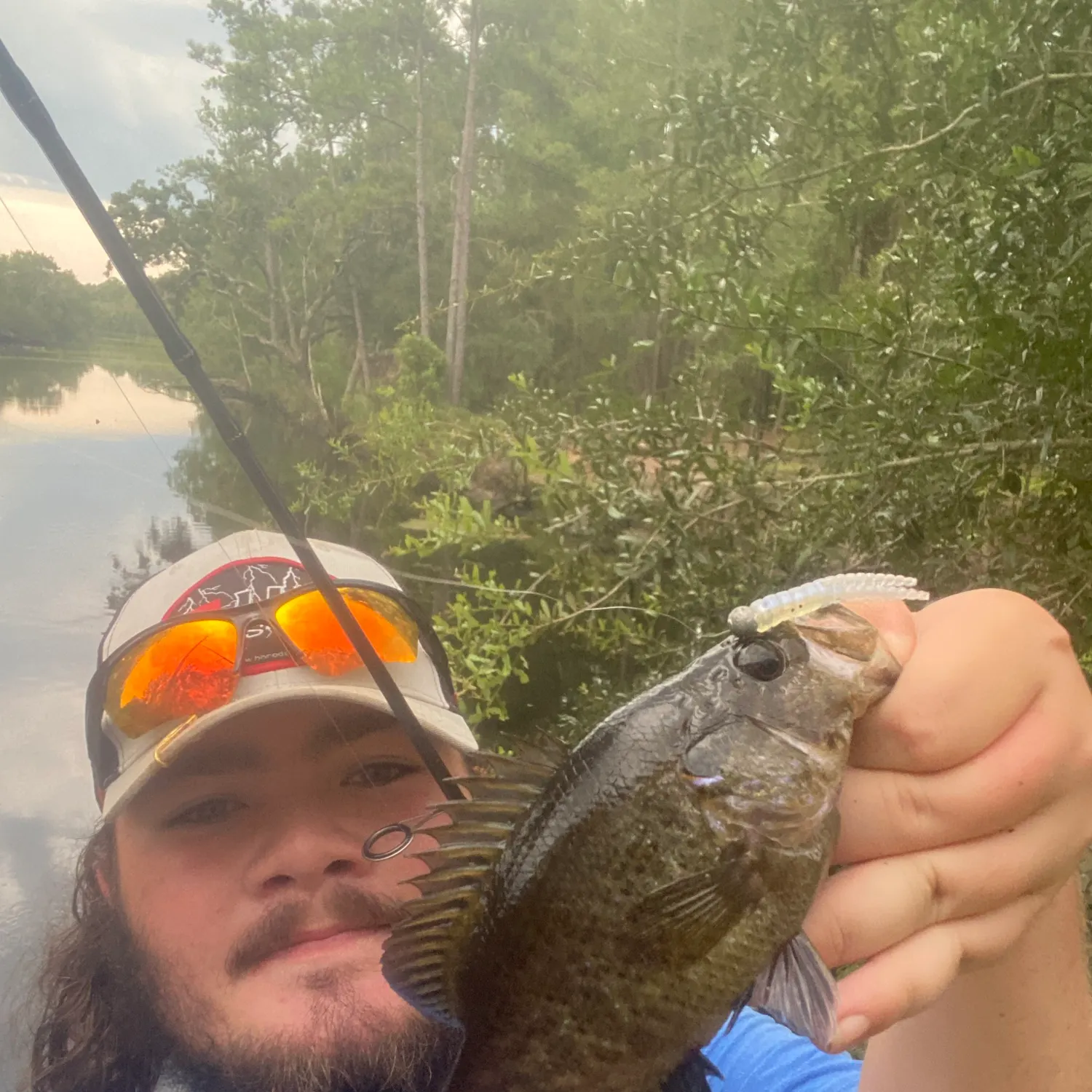 The most recent Warmouth catches on Fishbrain
