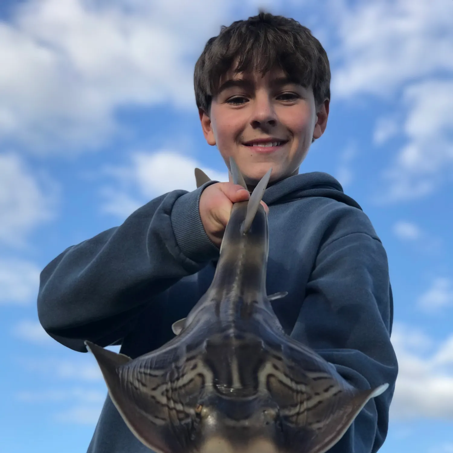 The most recent Southern fiddler catches on Fishbrain