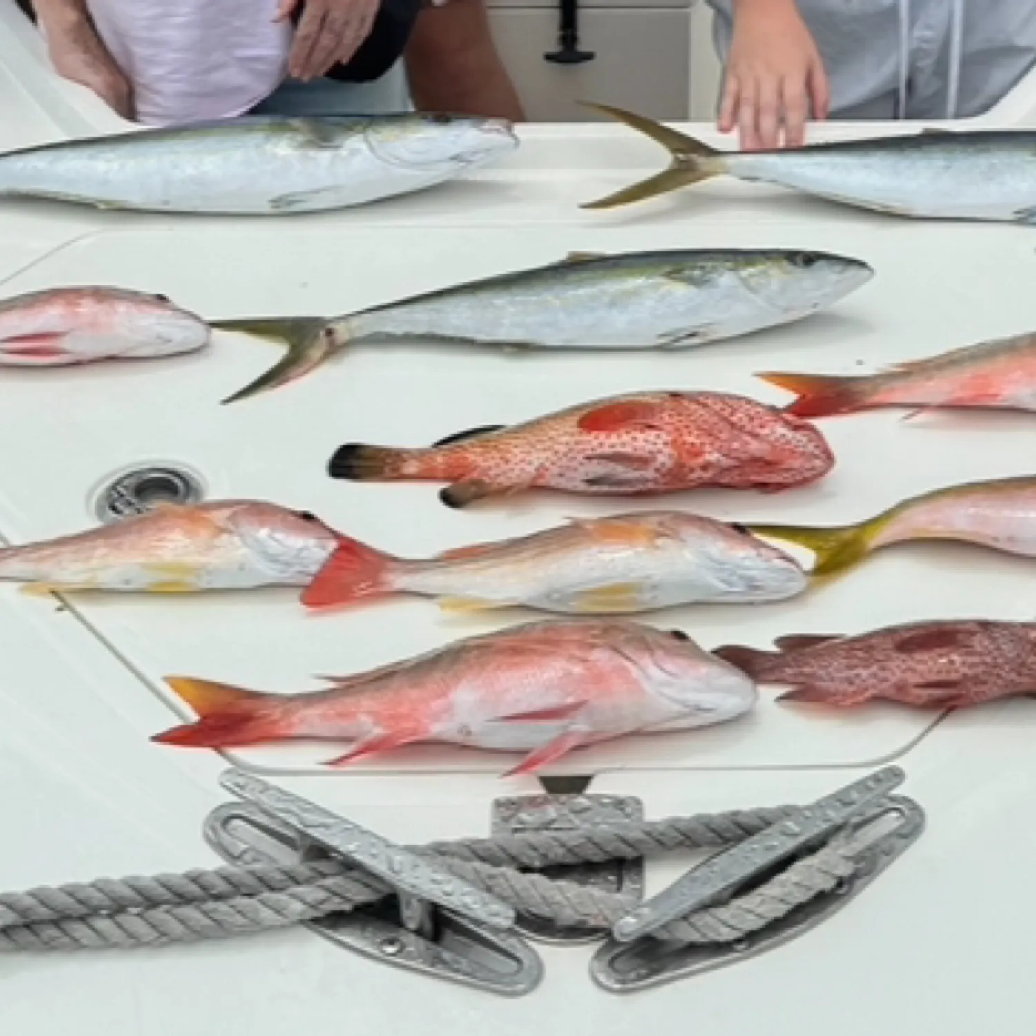 angler catch