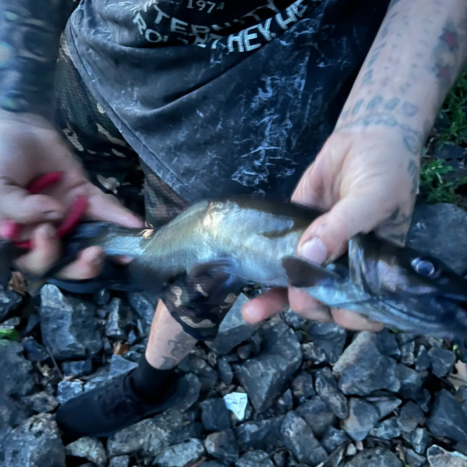 catch