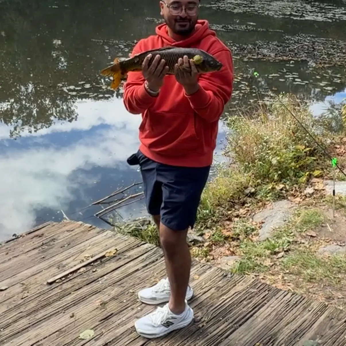 Common carp caught on Fishbrain