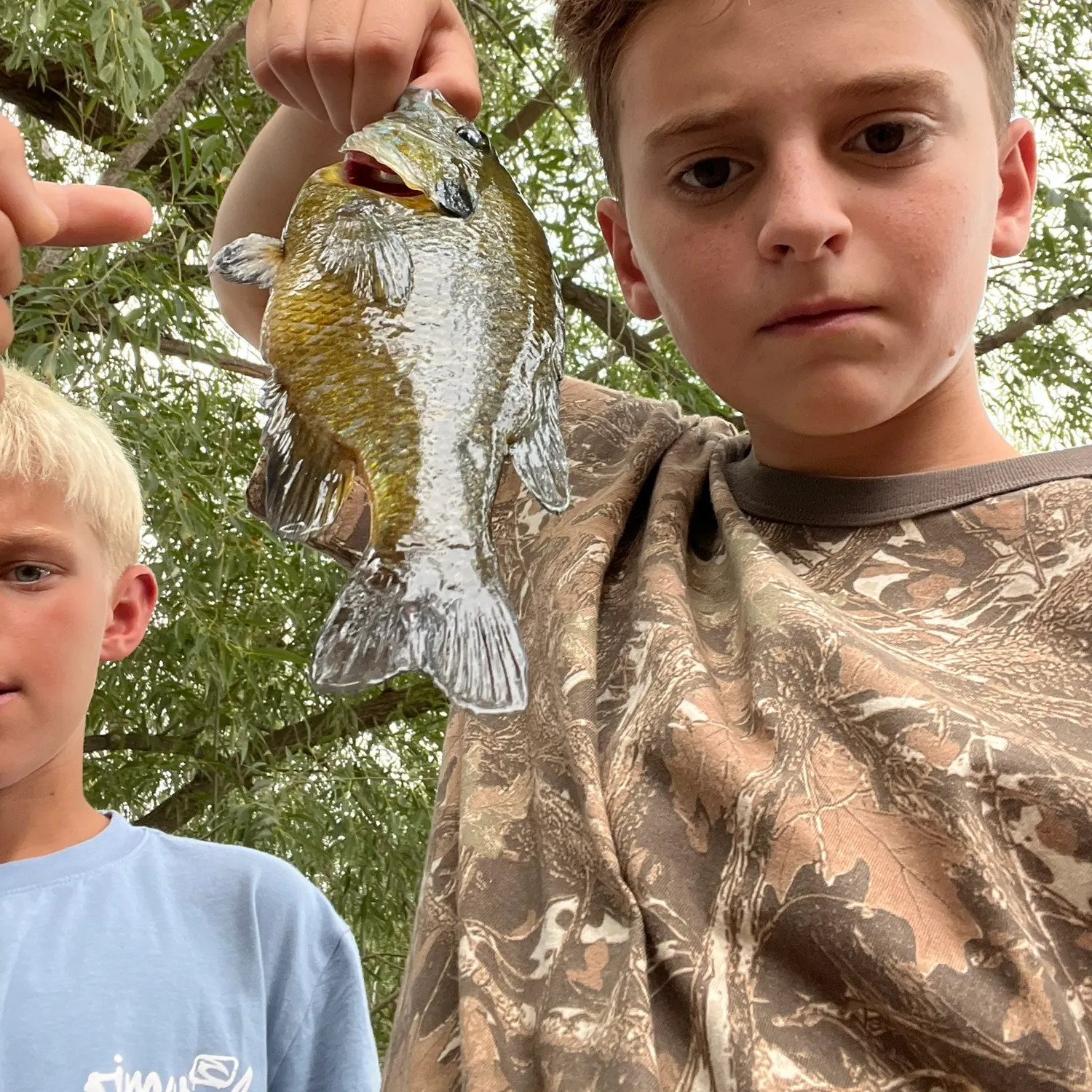 Bluegill caught on Fishbrain