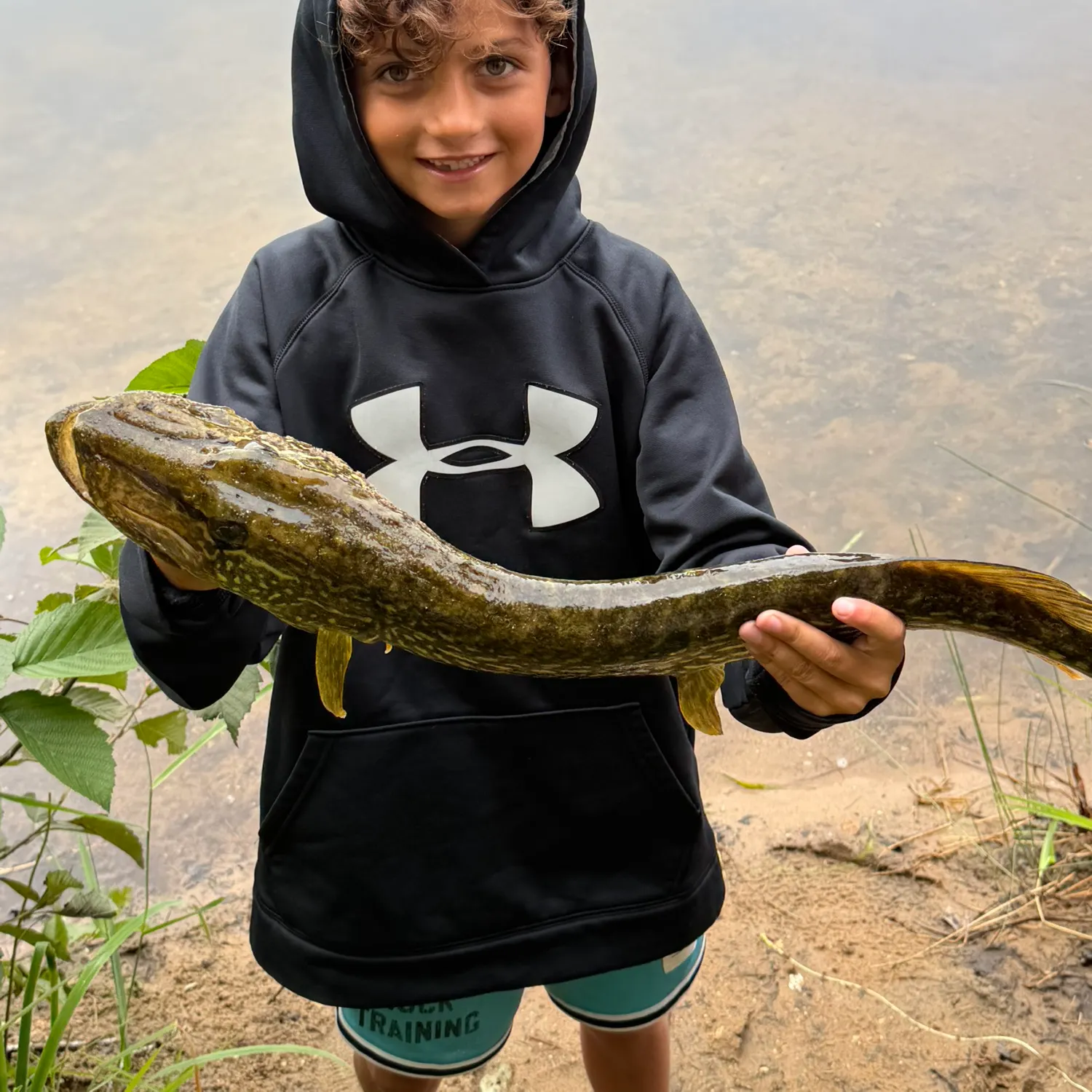 Northern pike caught on Fishbrain