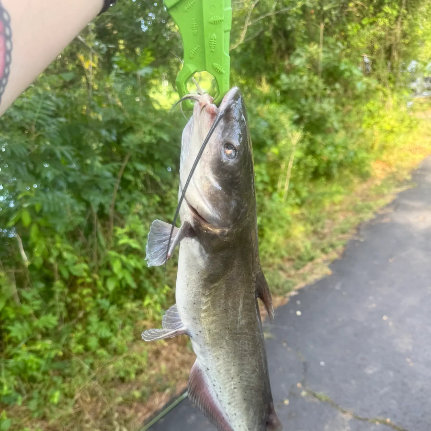 catch