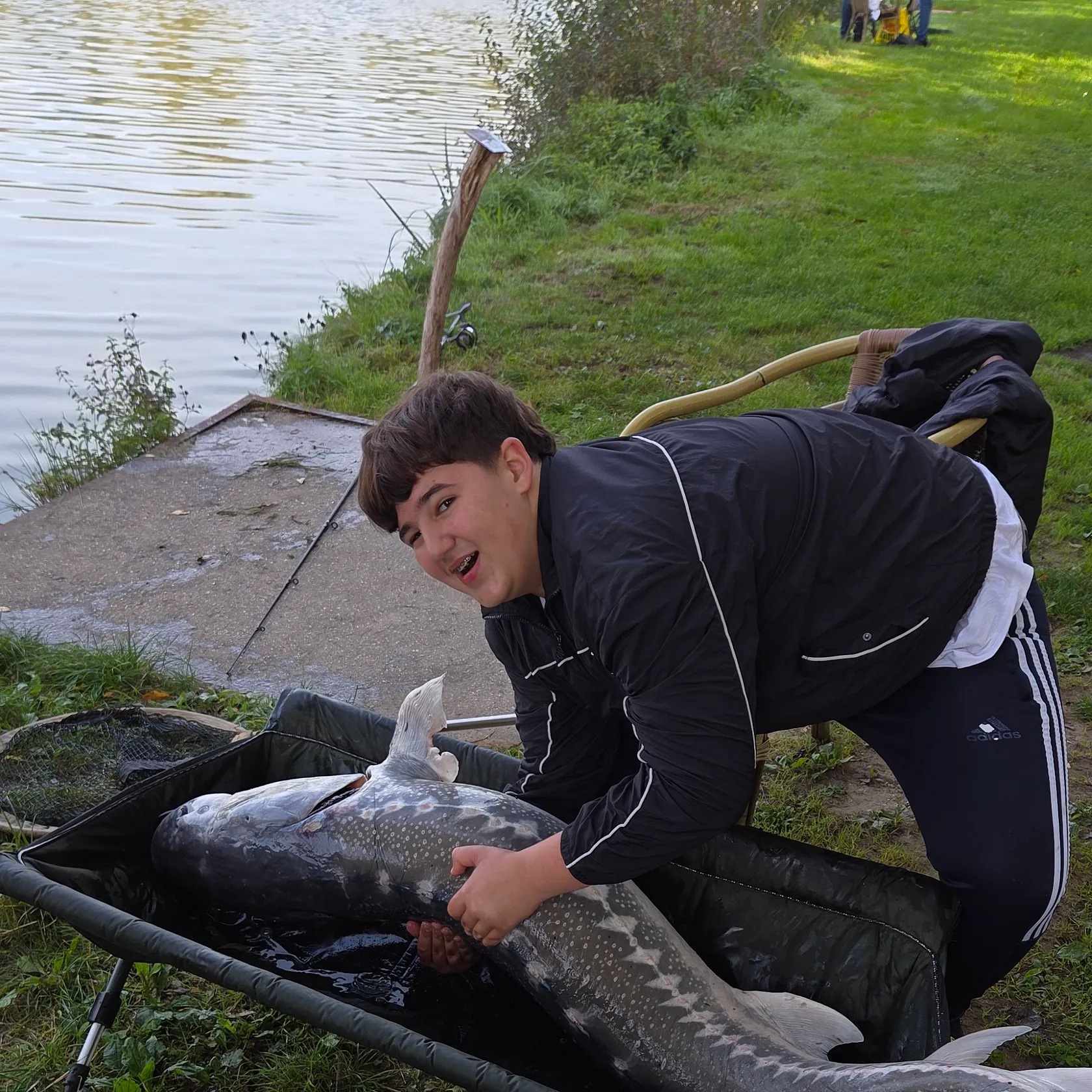 White sturgeon caught on Fishbrain